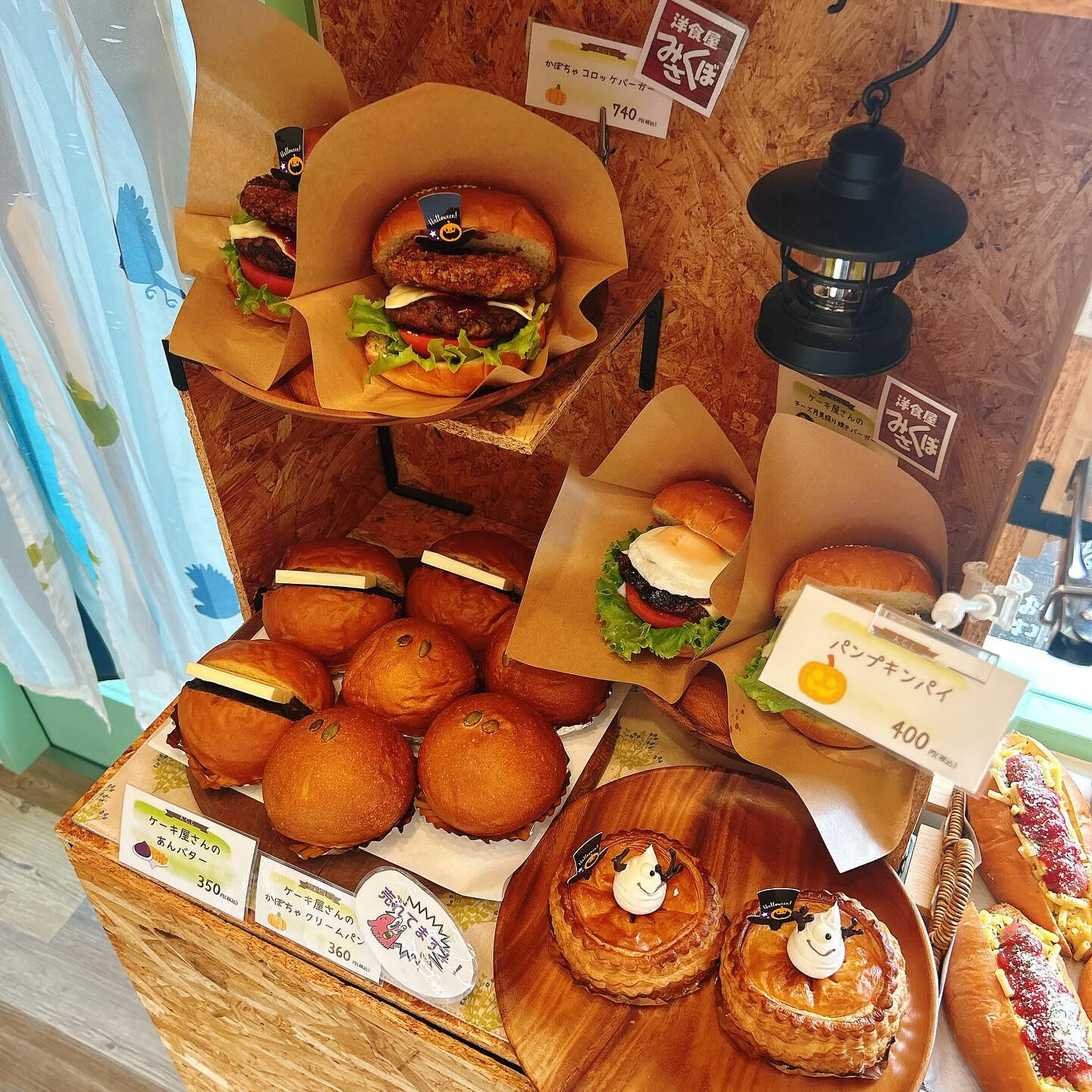 🌙🌈