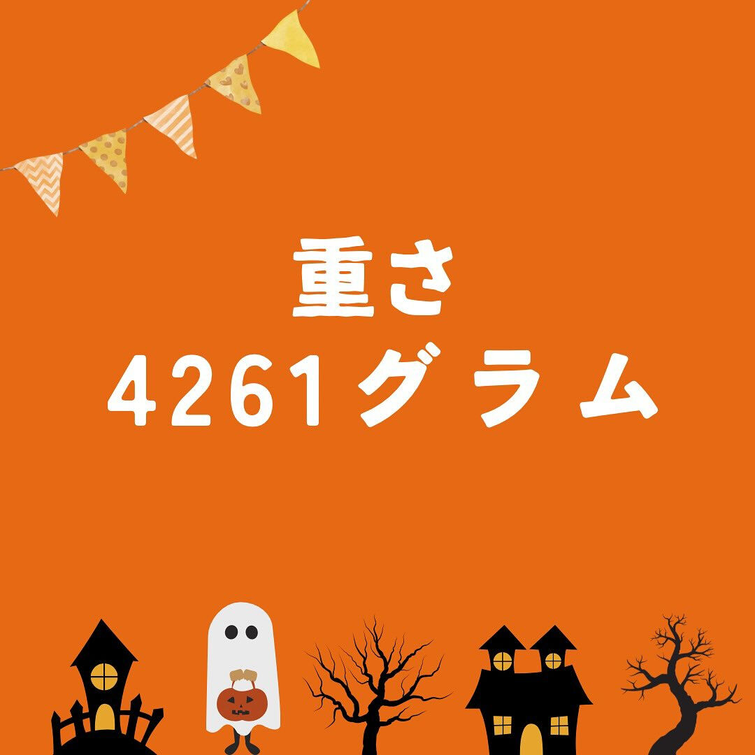🌙浜松スイーツのお知らせ🌈