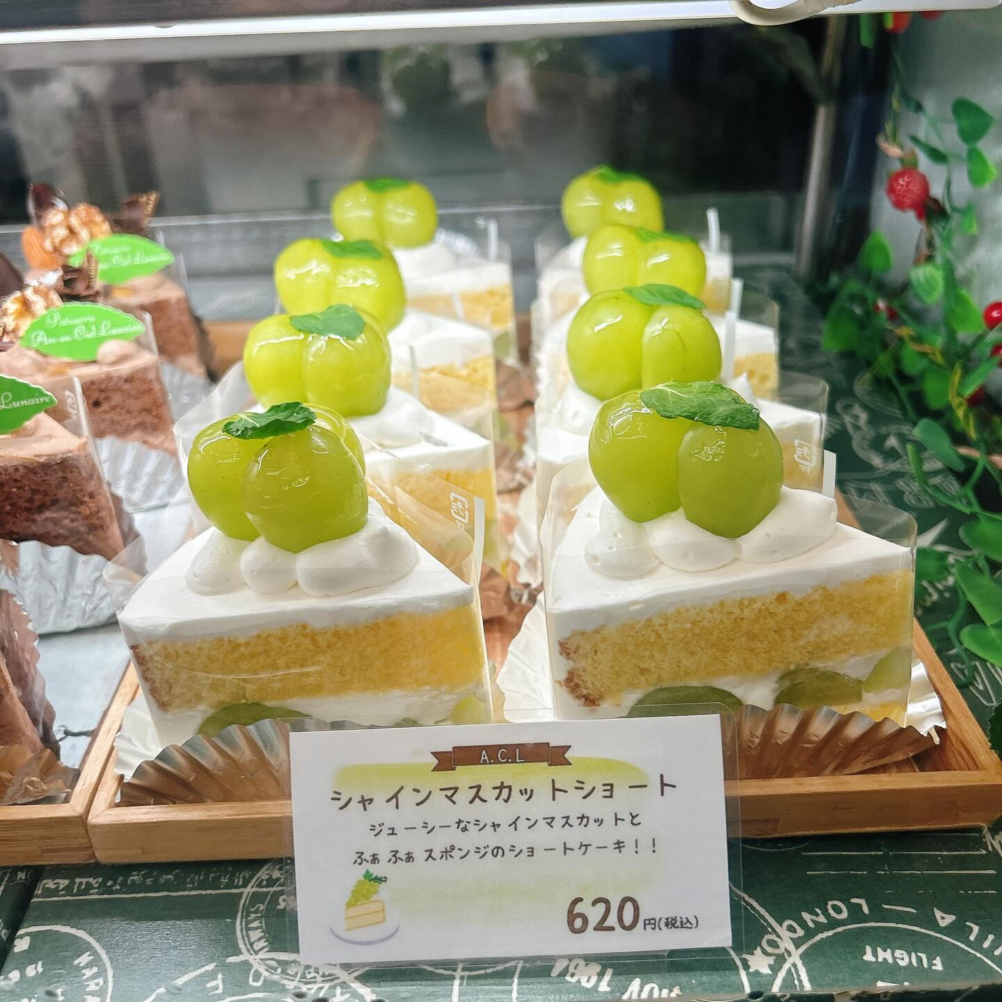 🌙浜松スイーツのお知らせ🌈