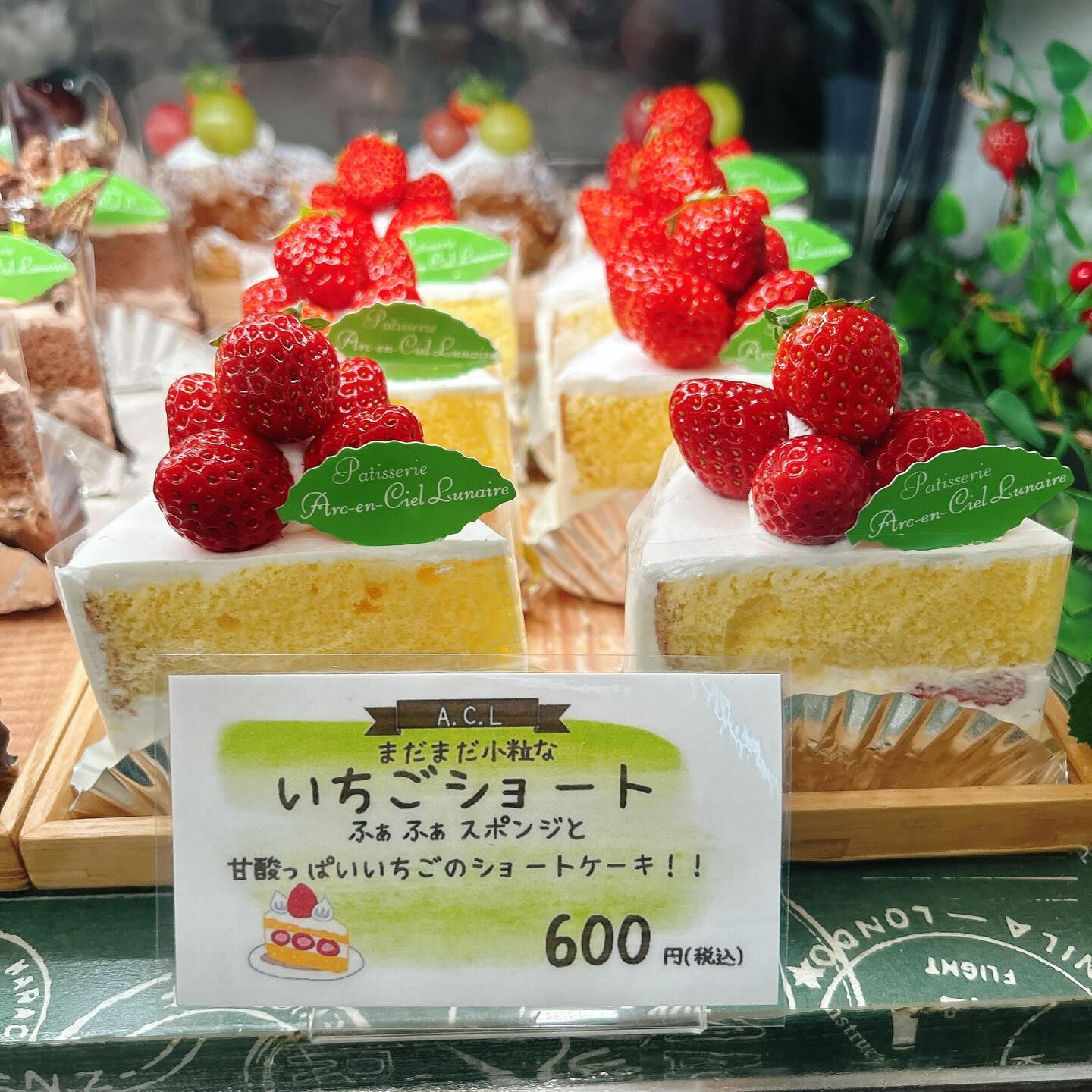 🌙浜松スイーツのお知らせ🌈