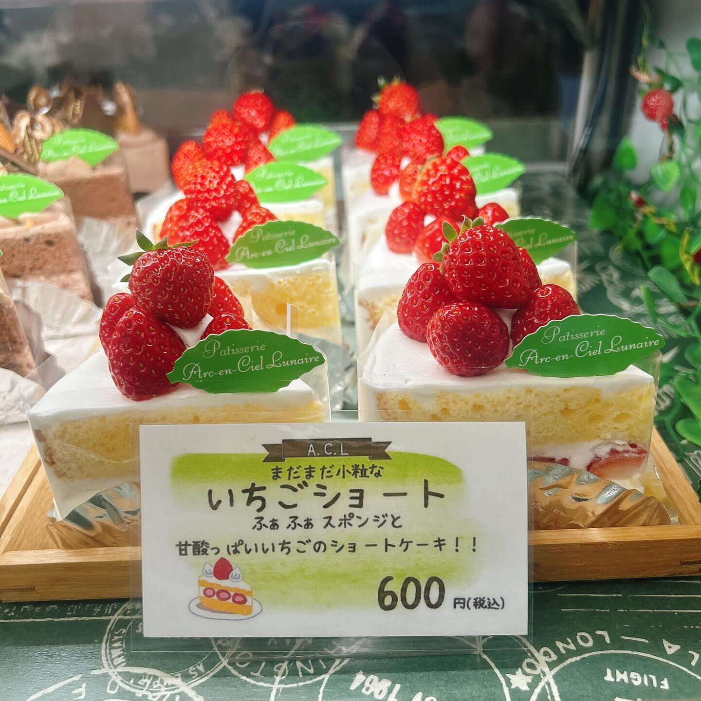 🌙浜松スイーツのお知らせ🌈