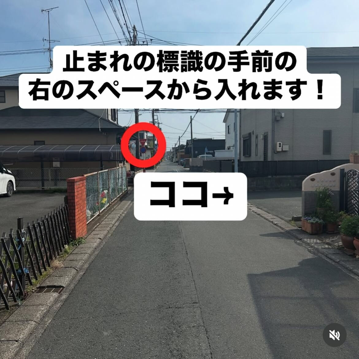 🌙浜松スイーツのお知らせ🌈