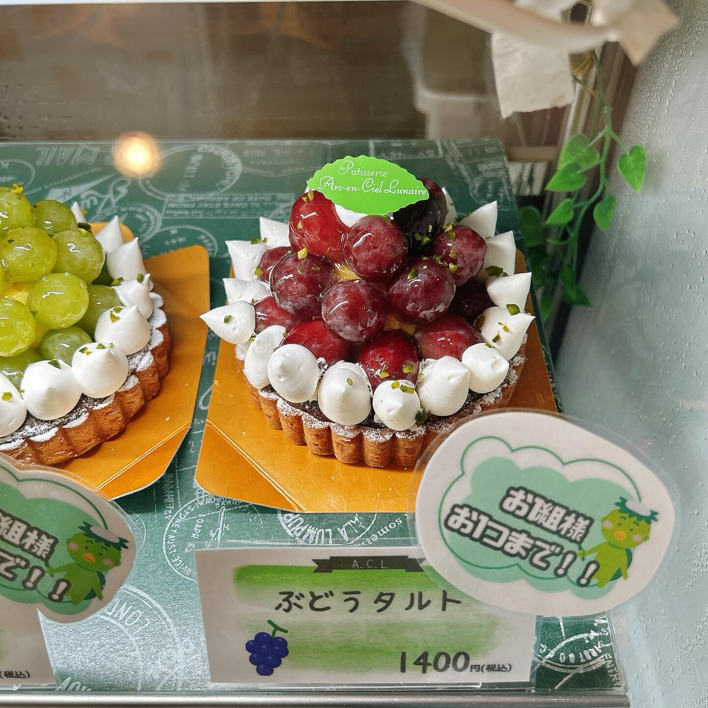 【本日メロンボーール出してます🍈】