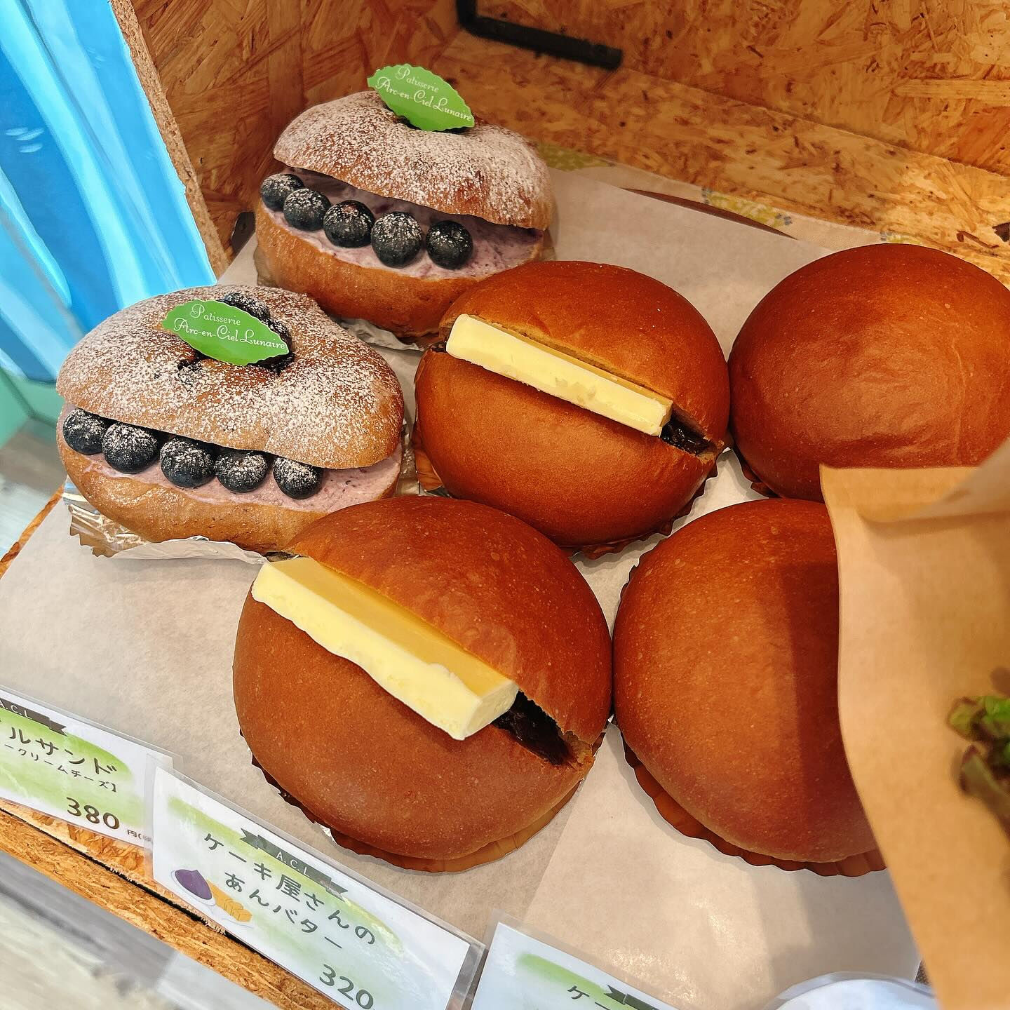 【本日も新作のヤドカリくん出してます🐚】