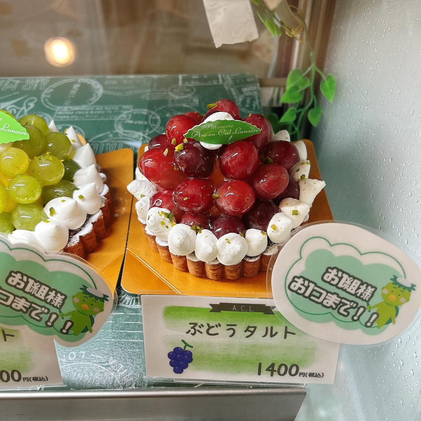 【本日メロンボーール出してます🍈】