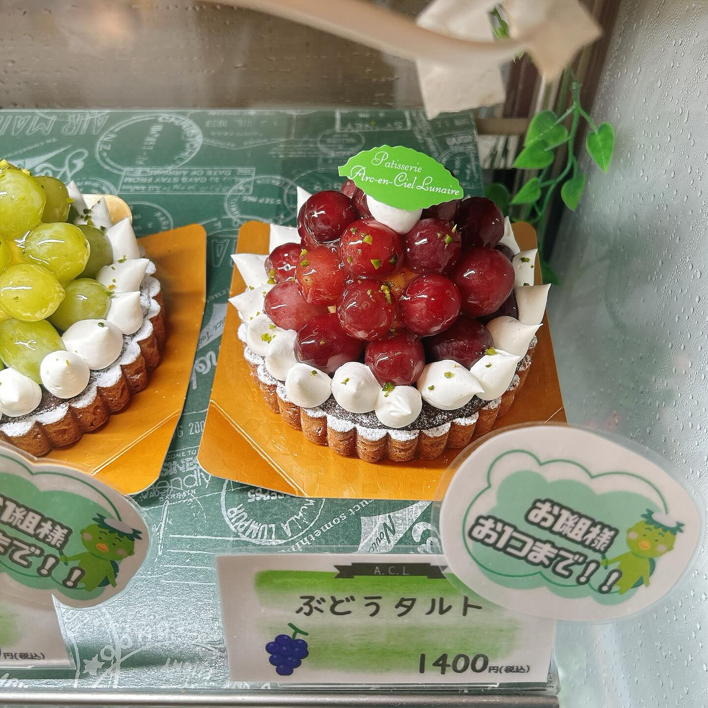 【本日メロンボーール出してます🍈】