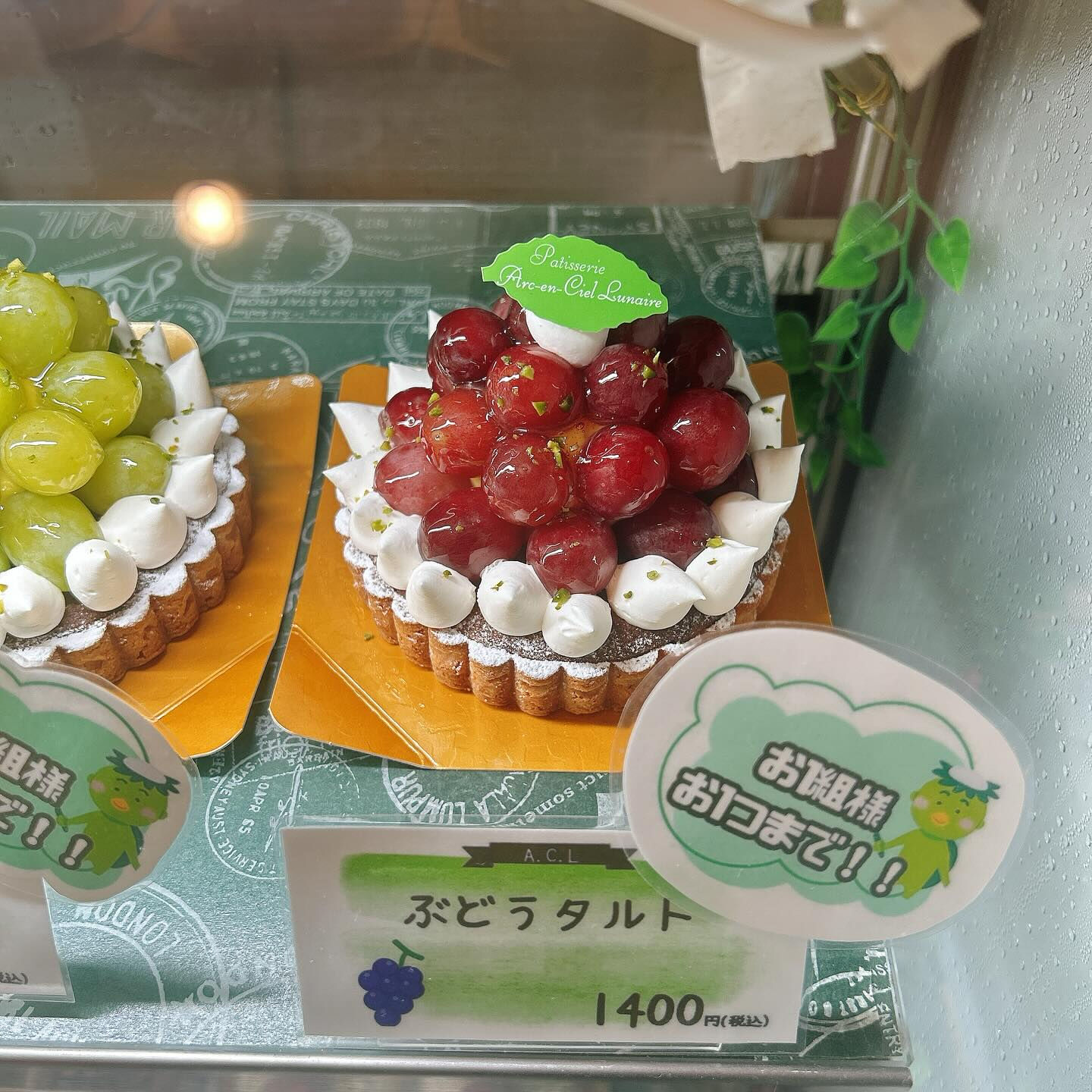 【本日もメロンボーール出してます🍈】