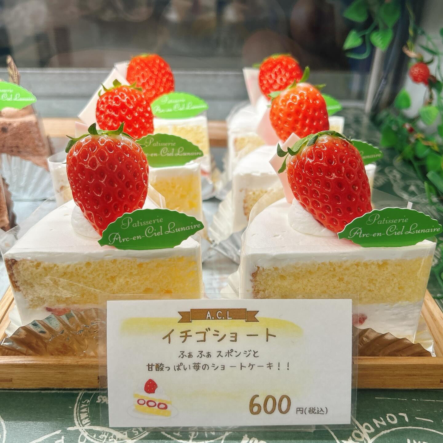 🌙浜松スイーツのお知らせ🌈