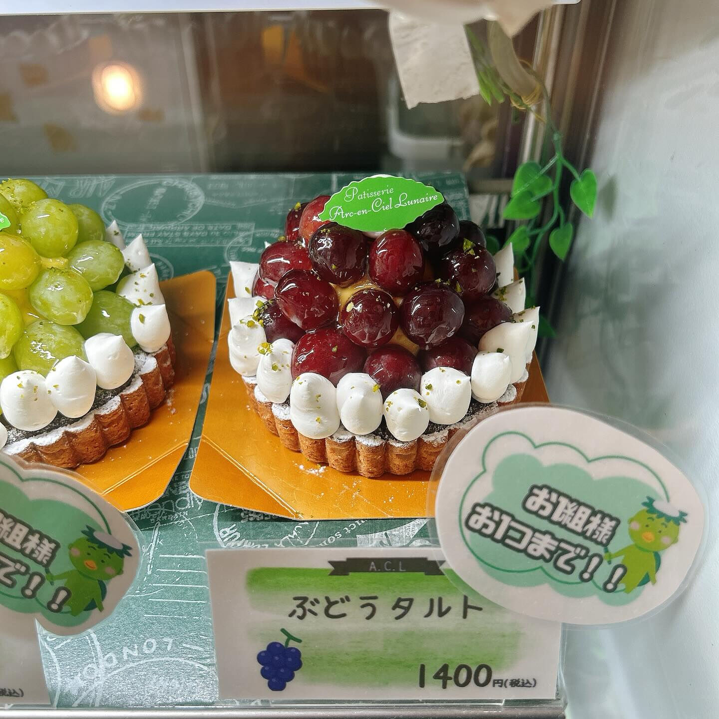 【本日はドライブボーール、やりすぎパインボーート出してます✨