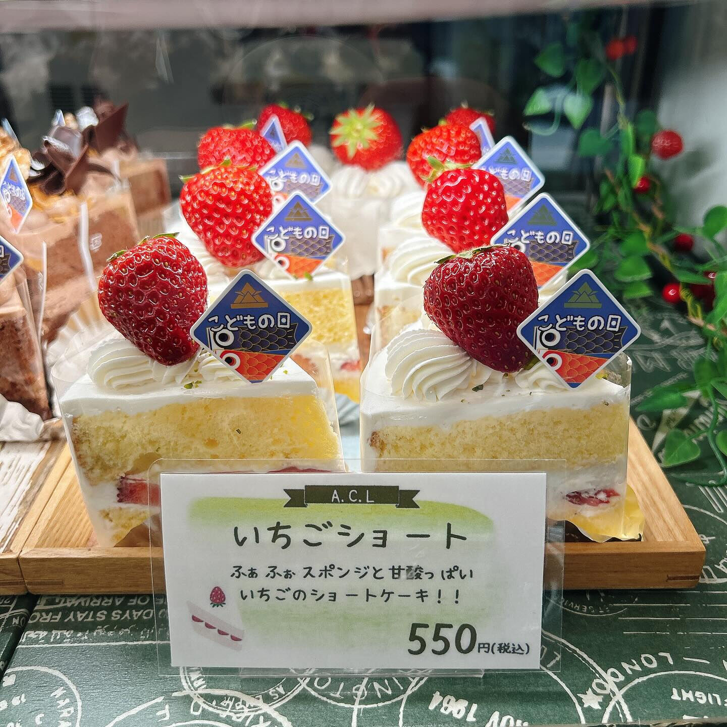 🌙本日はこどもの日🌈
