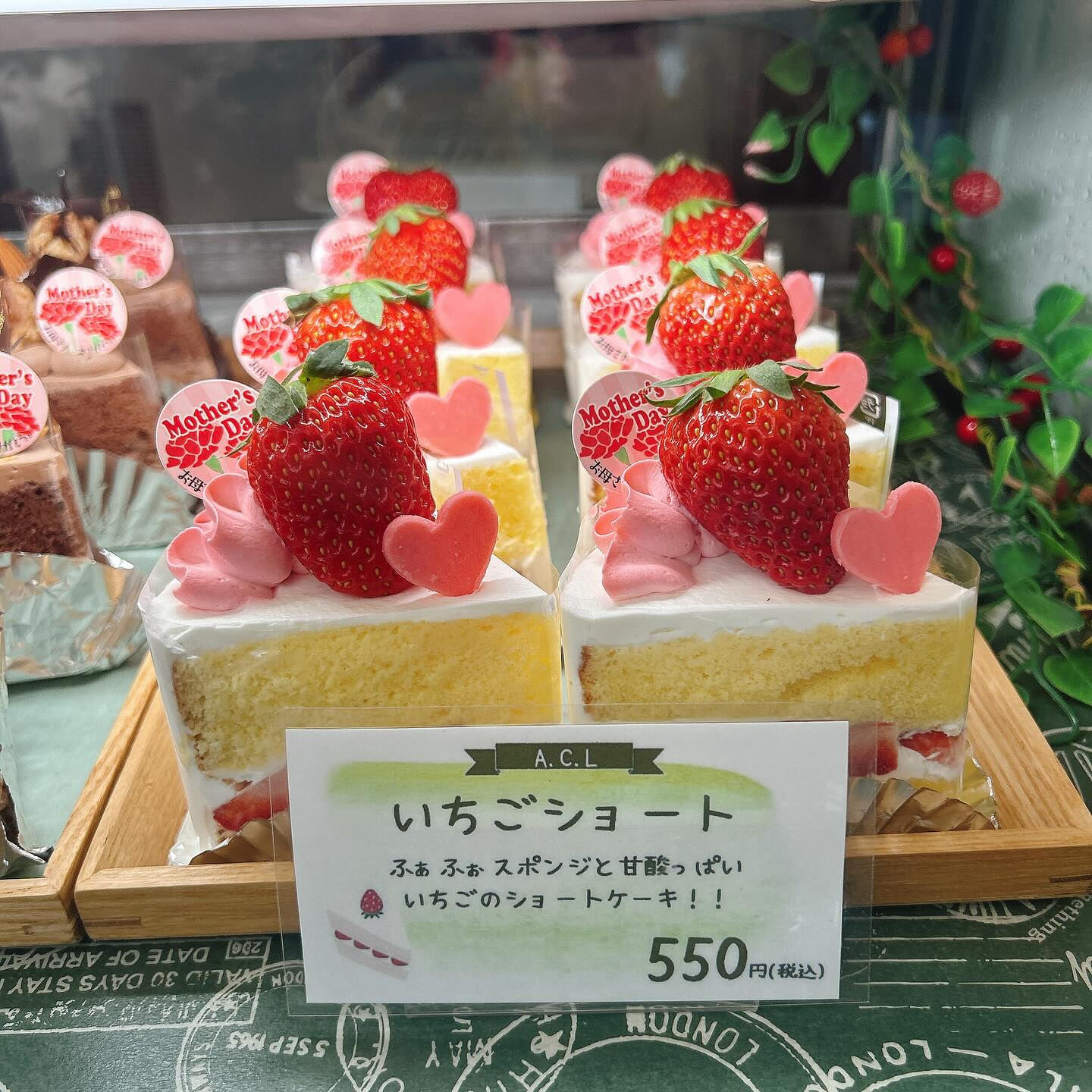 🌙母の日🌈