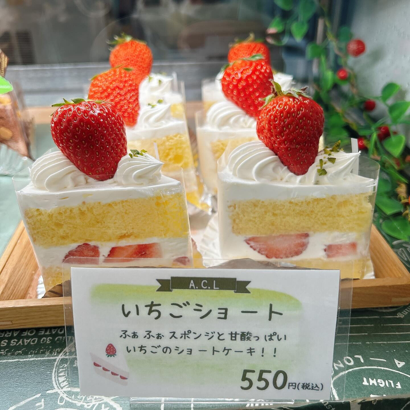 🌙本日はドラゴンボーール出してます🌈