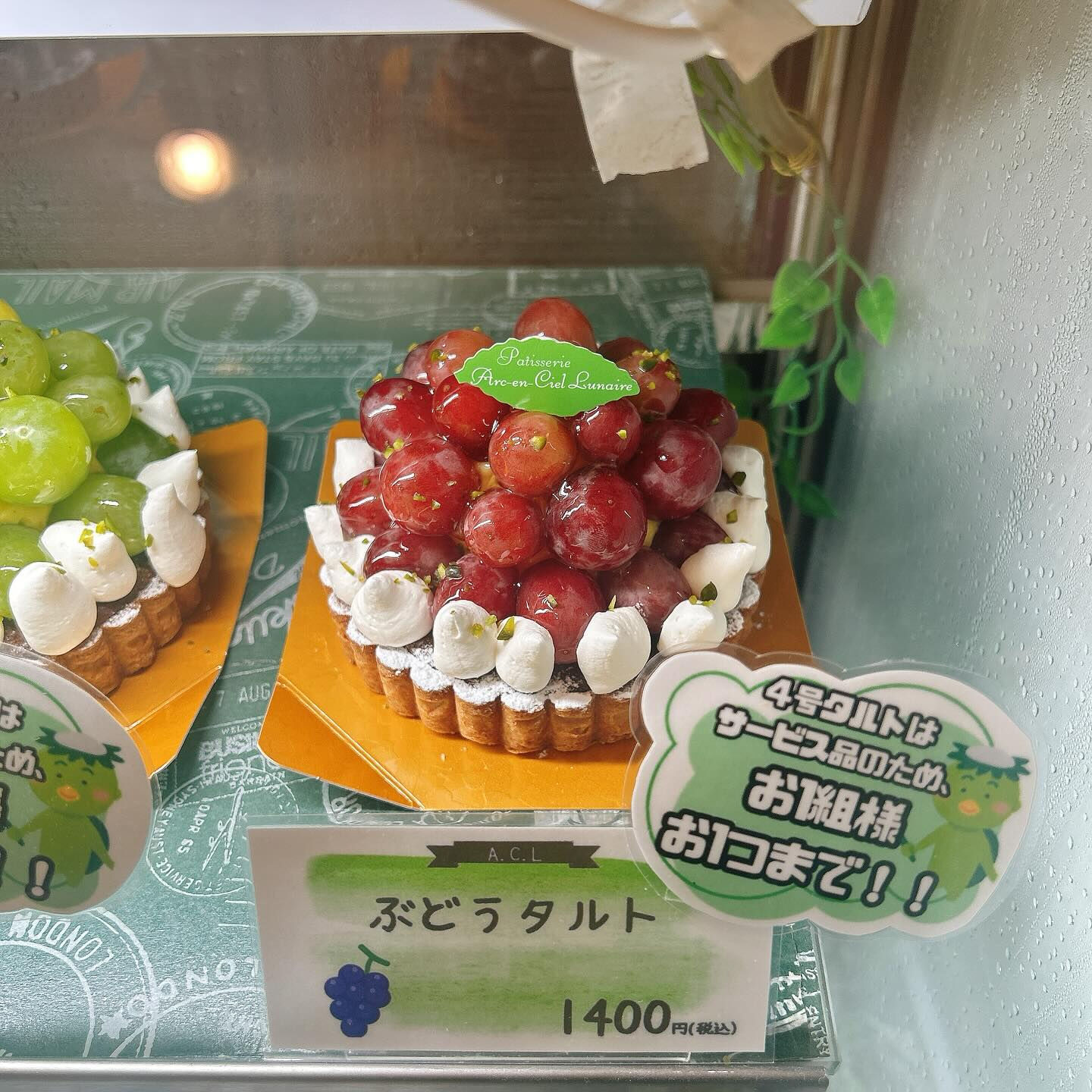 🌙本日もやりすぎパインボーート出してます🌈