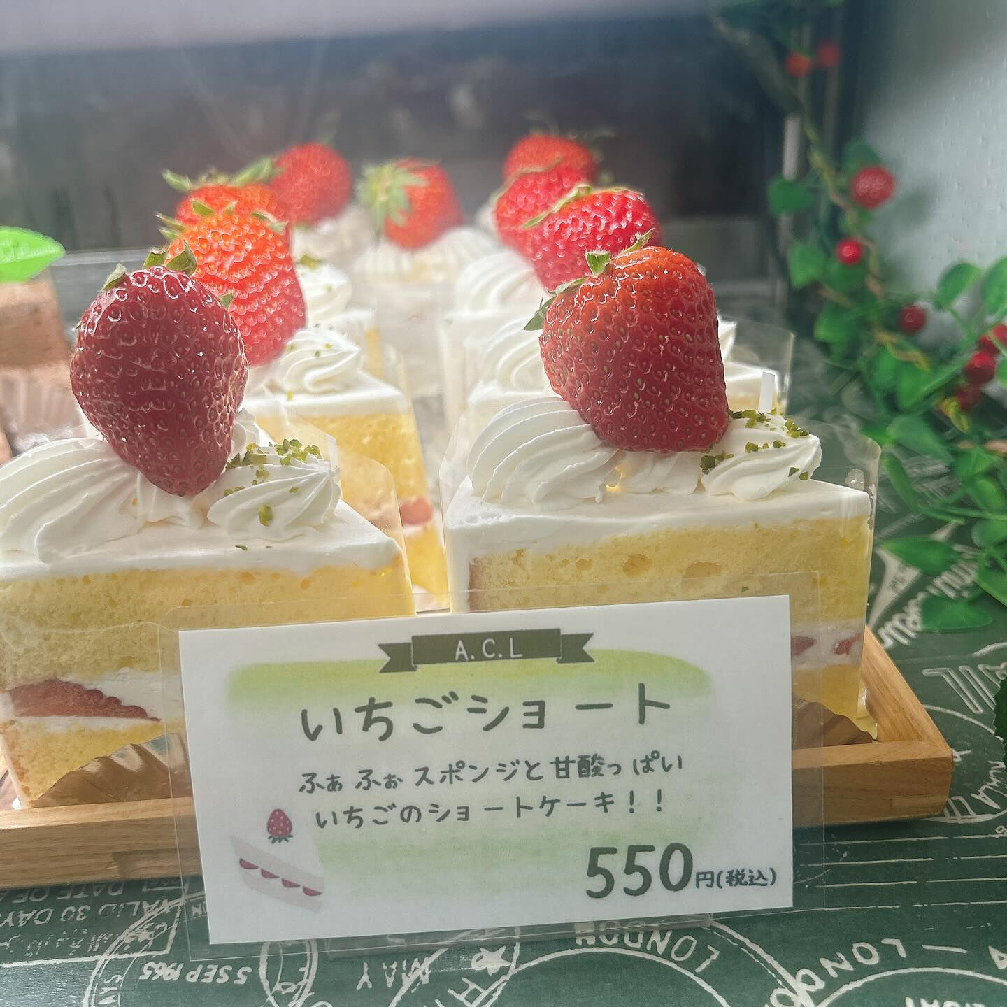 🌙本日もやりすぎパインボーート出してます🌈