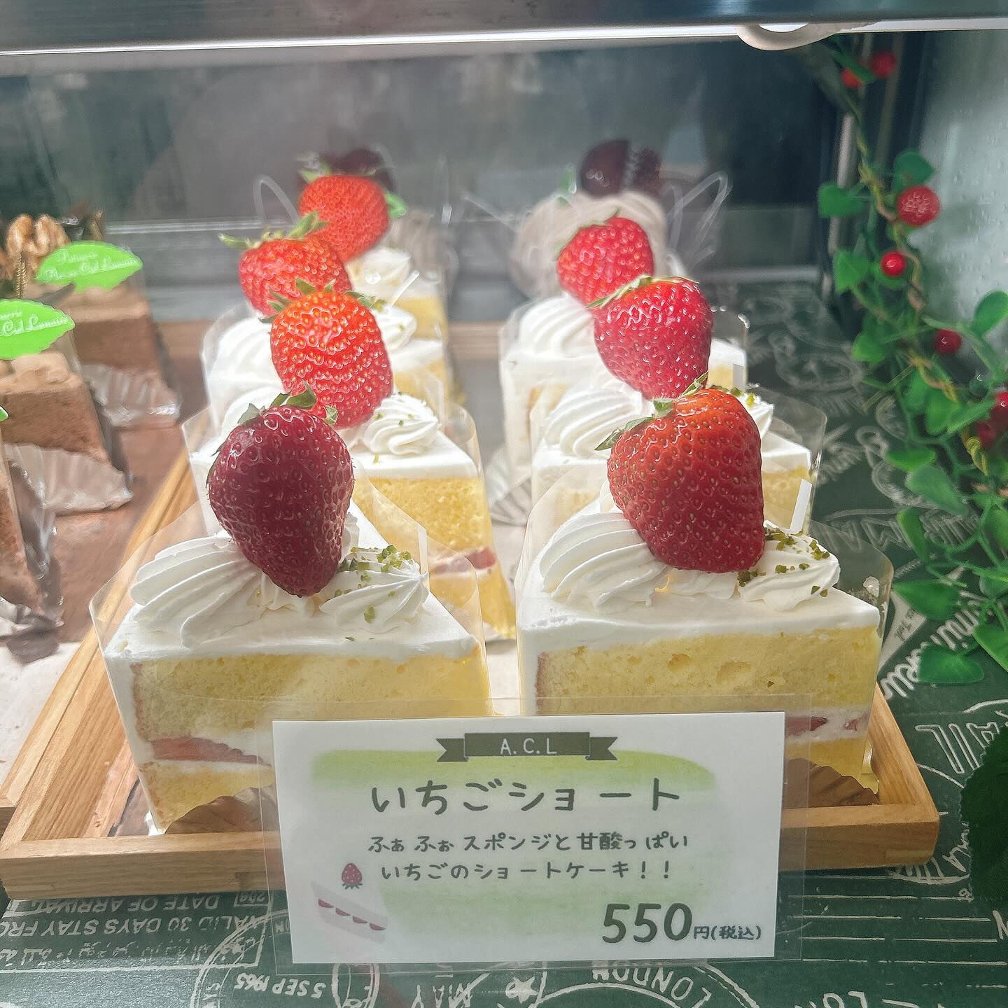 🌙本日はドラゴンボーール出してます🌈