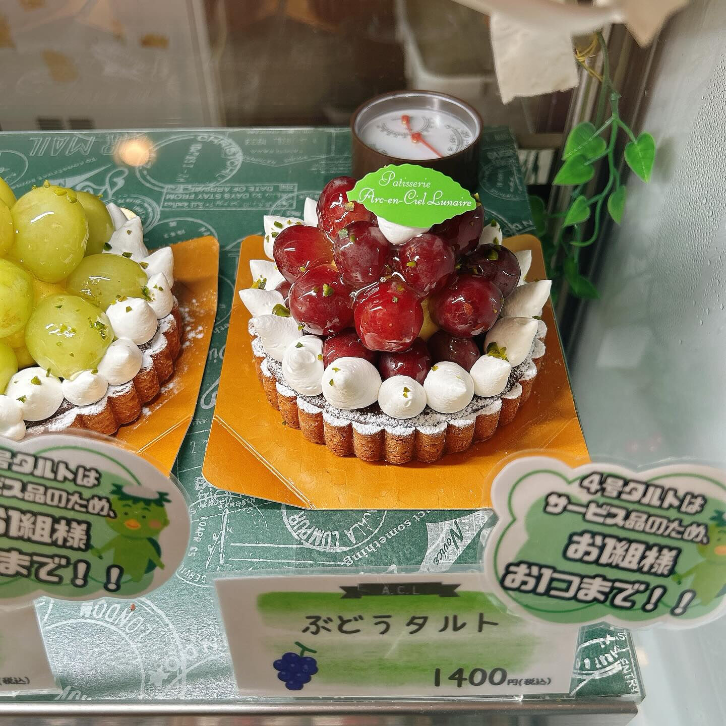 🌙本日は気まぐれピスターシュー出してます🌈