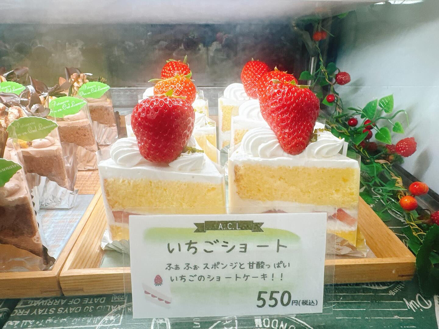 🌙本日は気まぐれピスターシュー出してます🌈