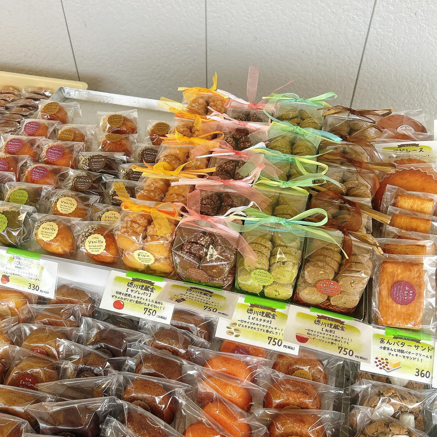 おはようございます！！
