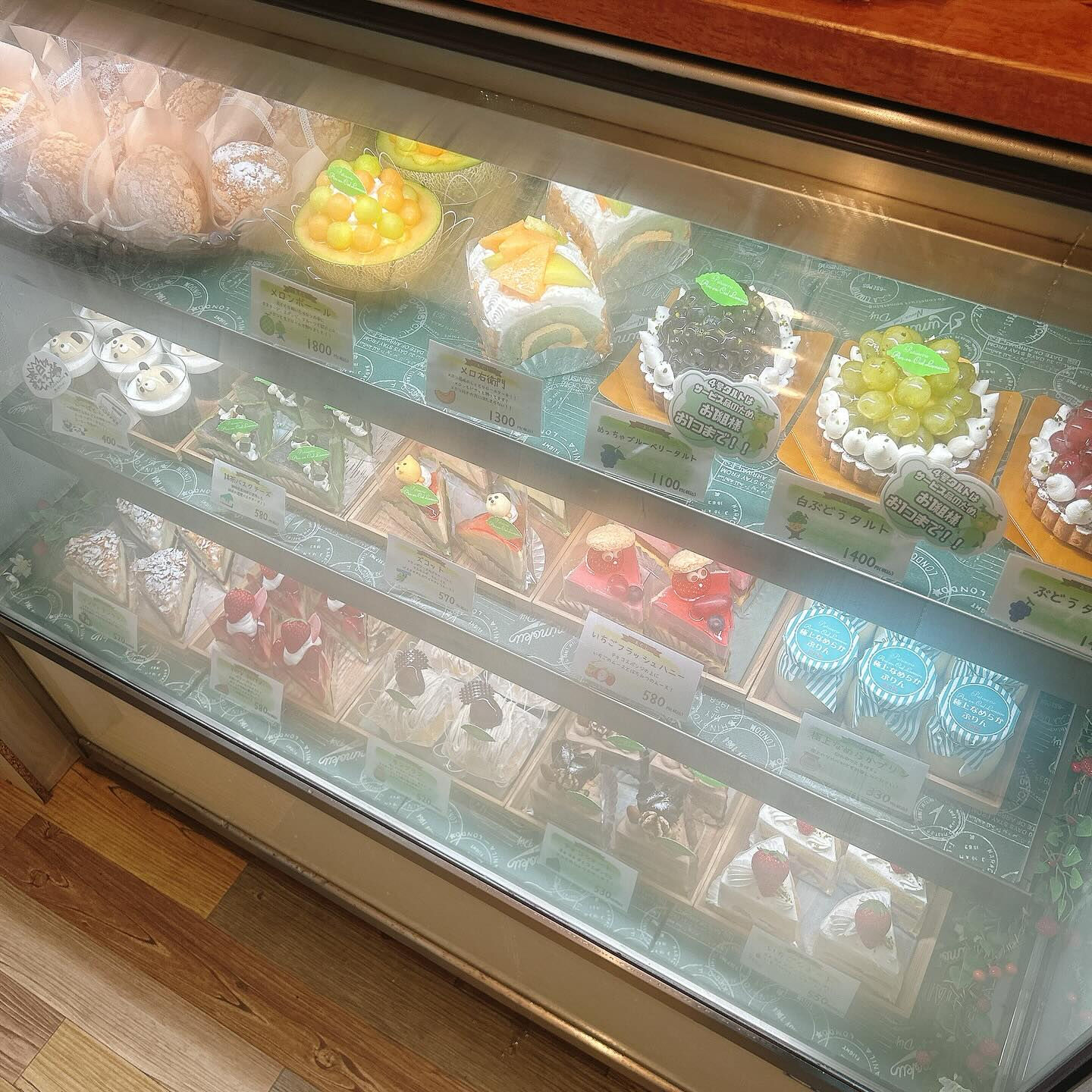 🌙本日はショーケース曇り気味です🌈