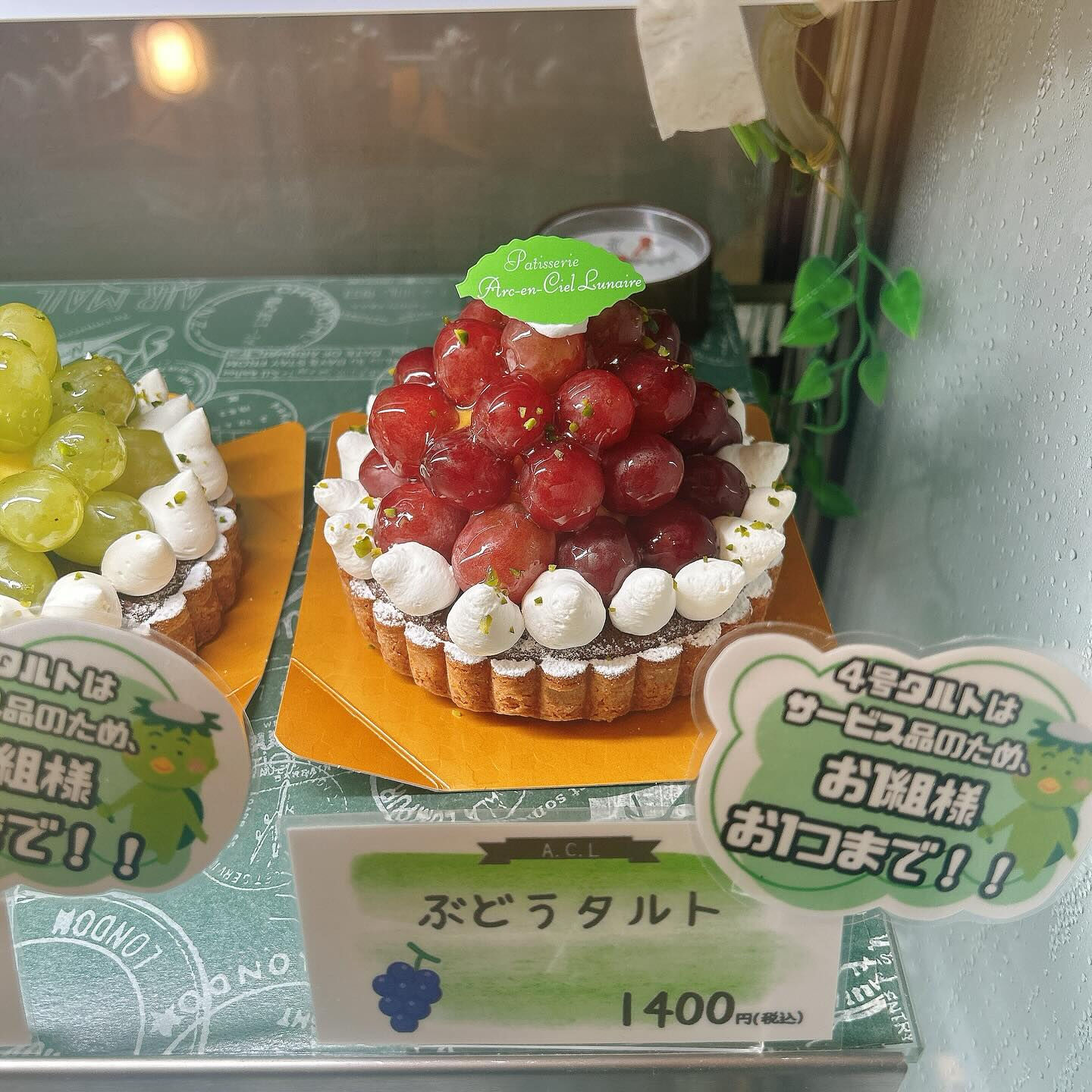 🌙本日はショーケース曇り気味です🌈