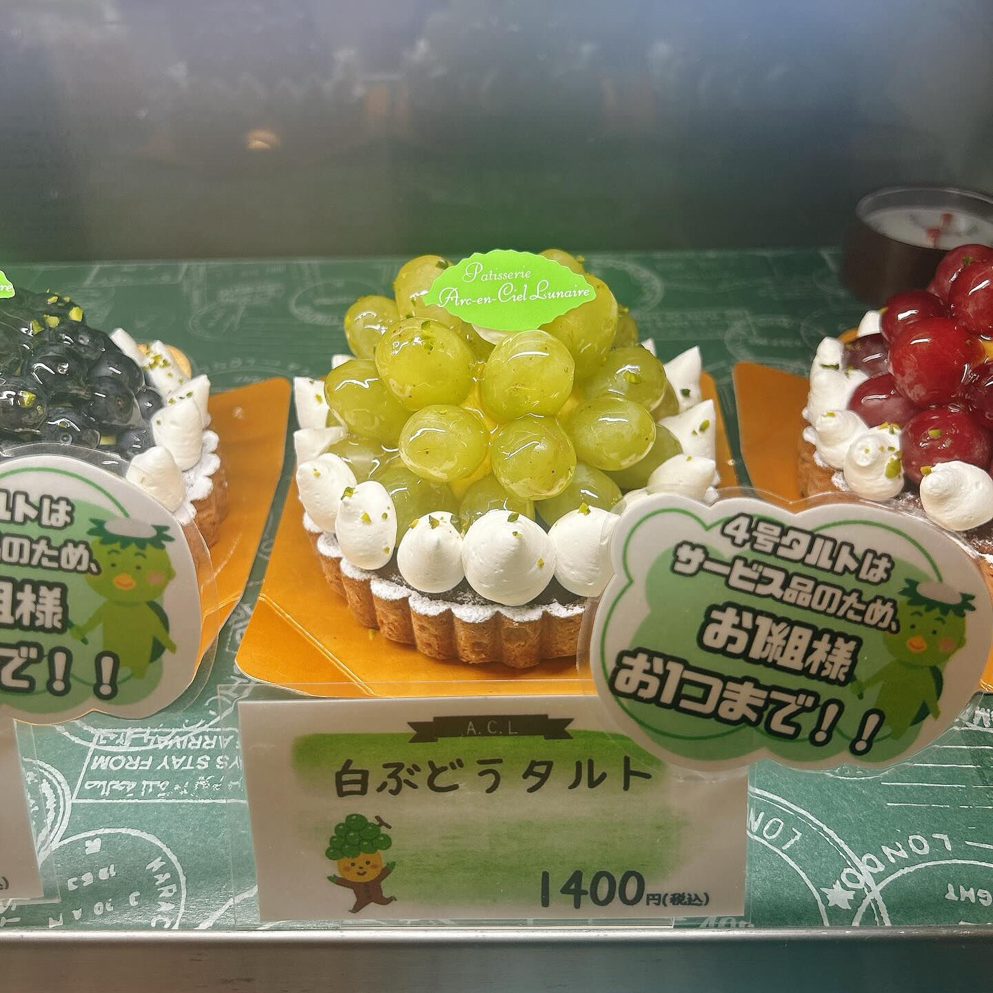 🌙本日はショーケース曇り気味です🌈