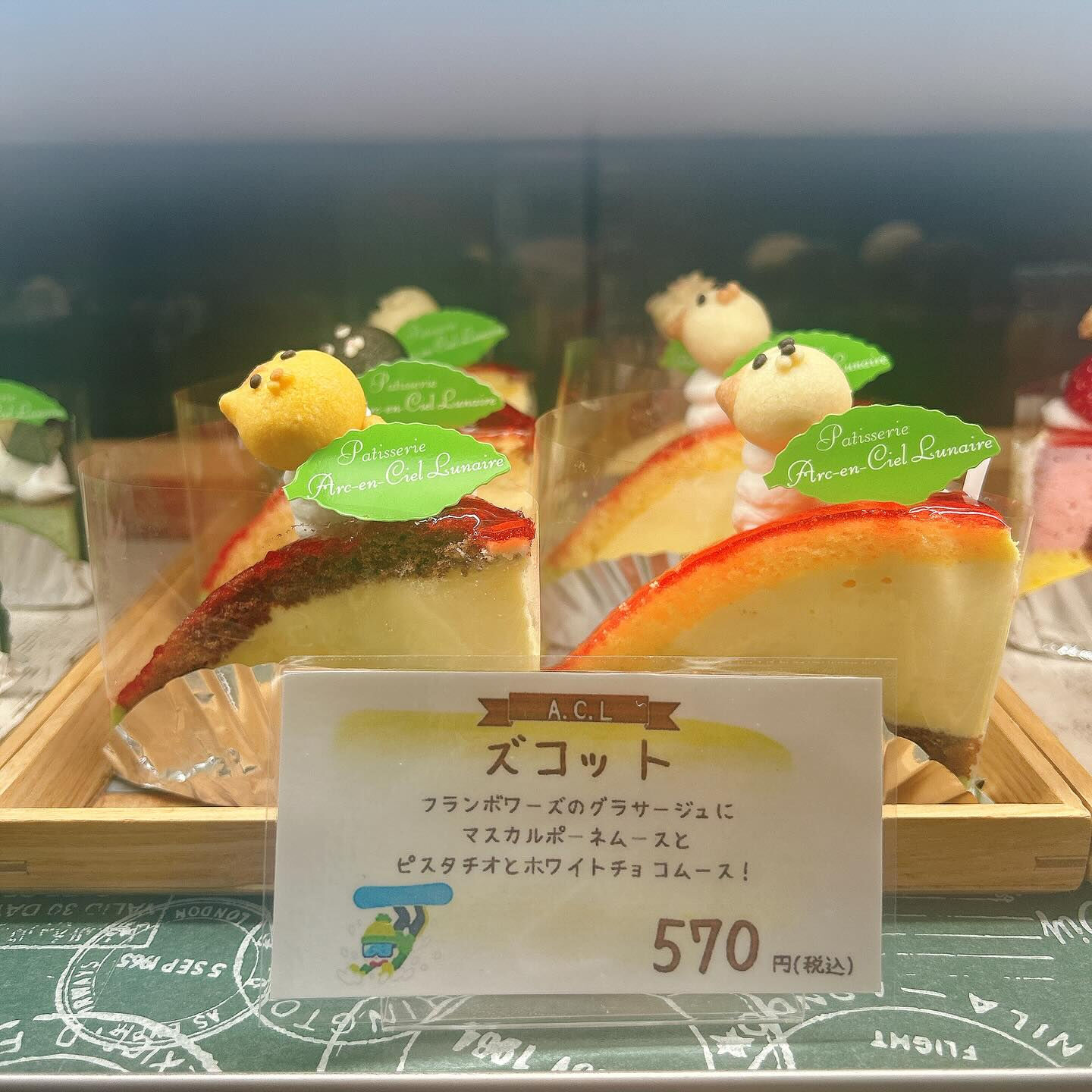 🌙本日はショーケース曇り気味です🌈