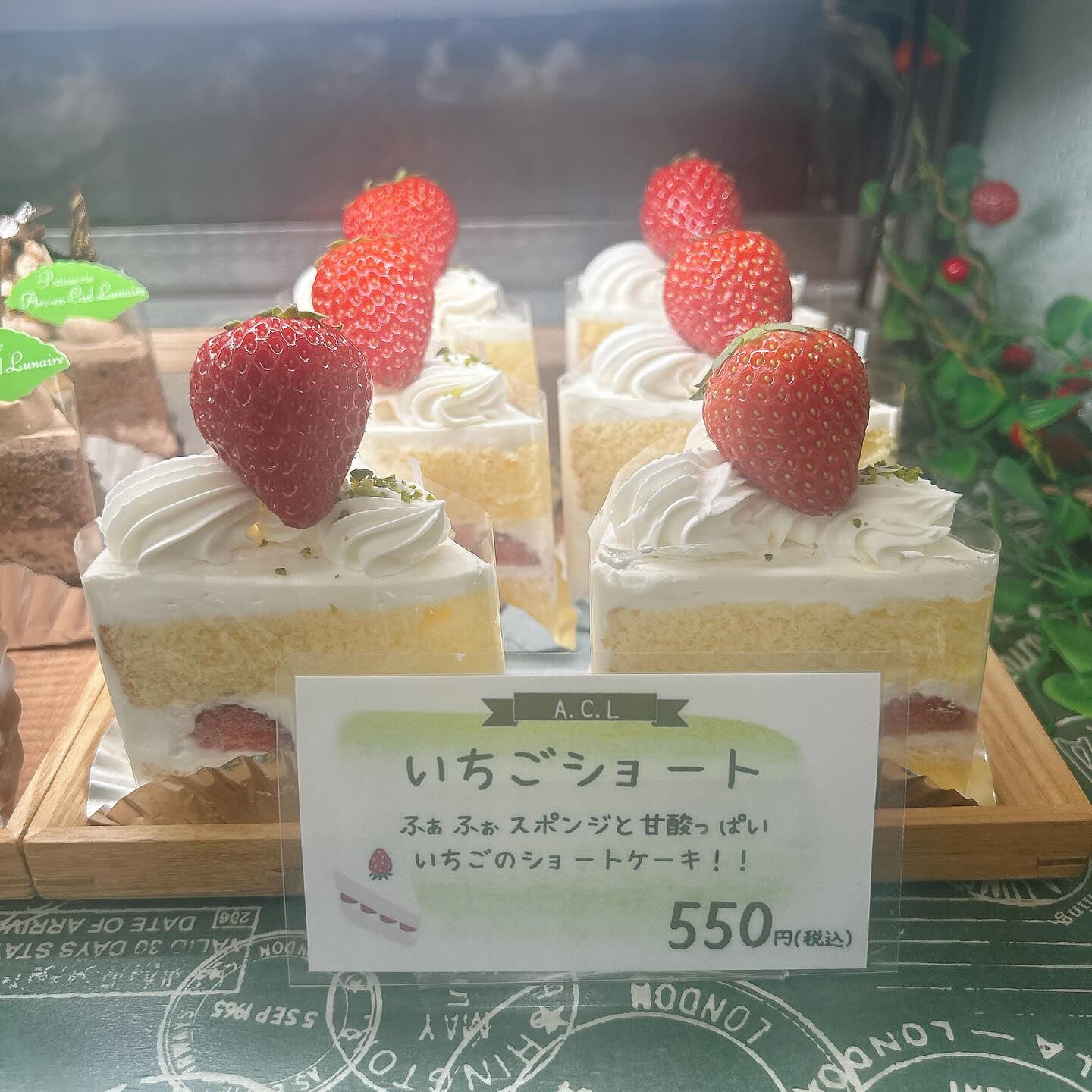 🌙本日はショーケース曇り気味です🌈