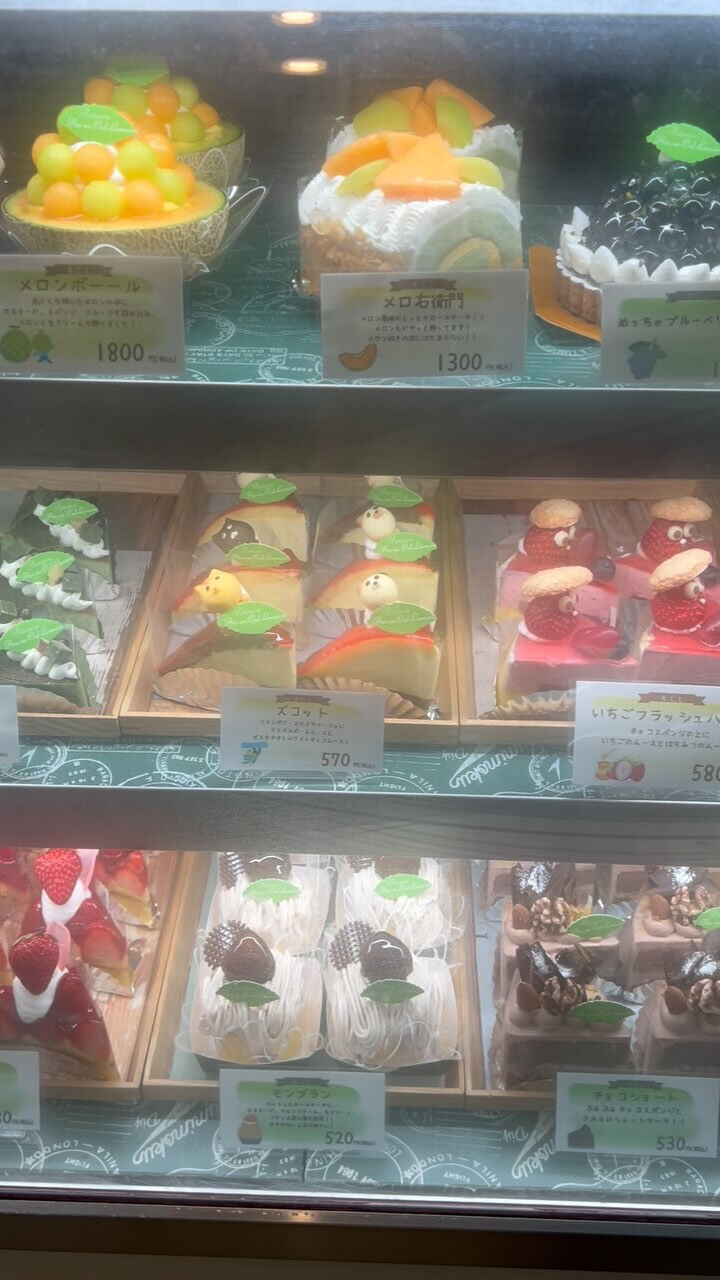 🌙本日はショーケース曇り気味です🌈