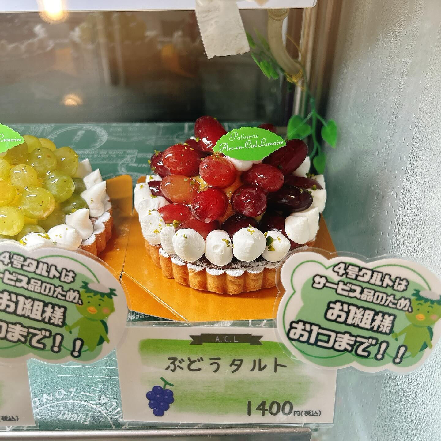 🌙本日スイカボーール出してます🌈