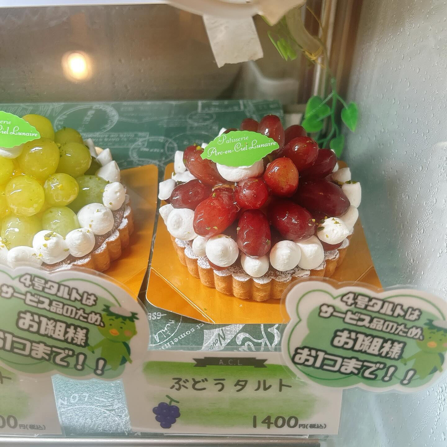 🌙本日スイカボーール出してます🌈