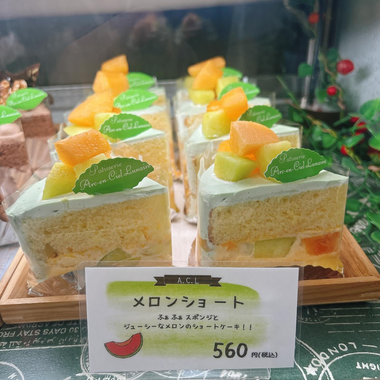 🌙本日スイカボーール出してます🌈