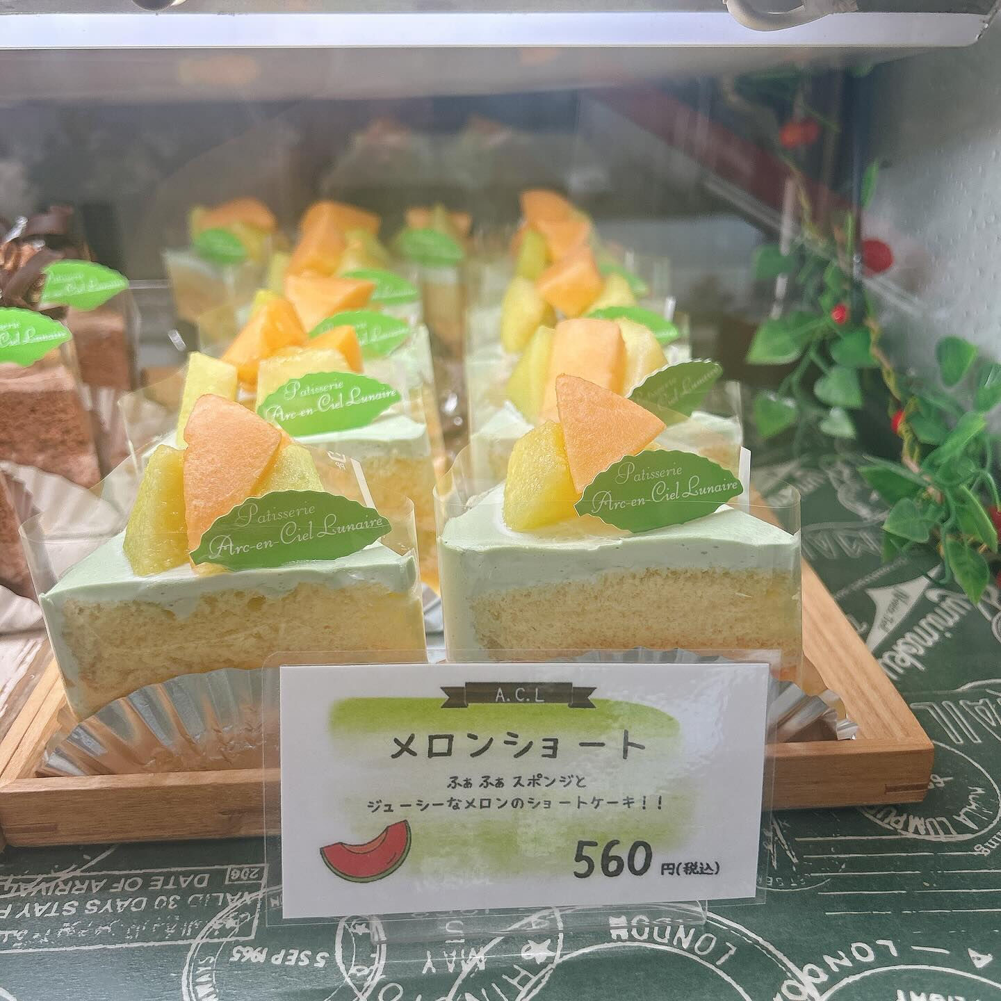 🌙暑いですね🥵🌈