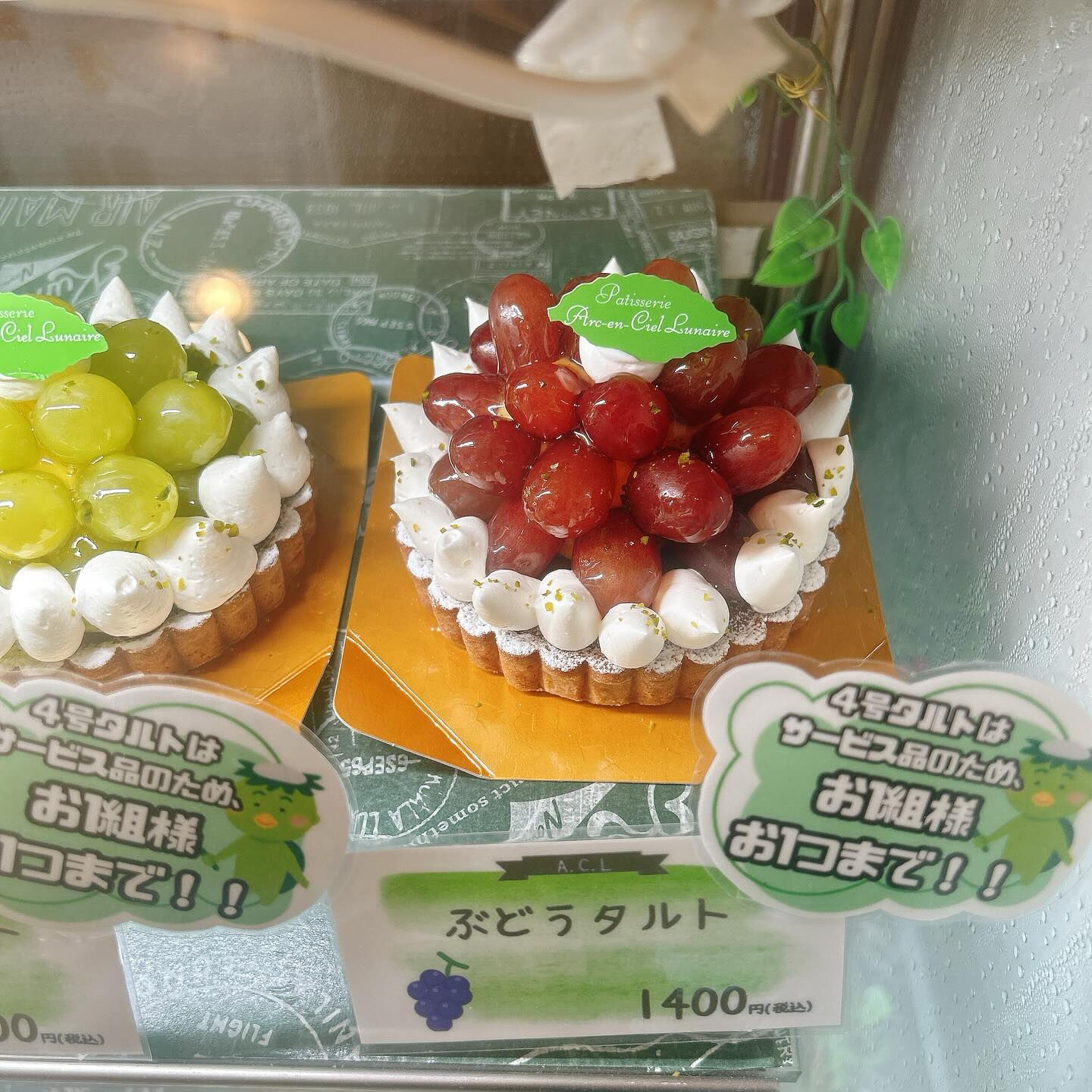 🌙今日も暑いですね🥵🌈