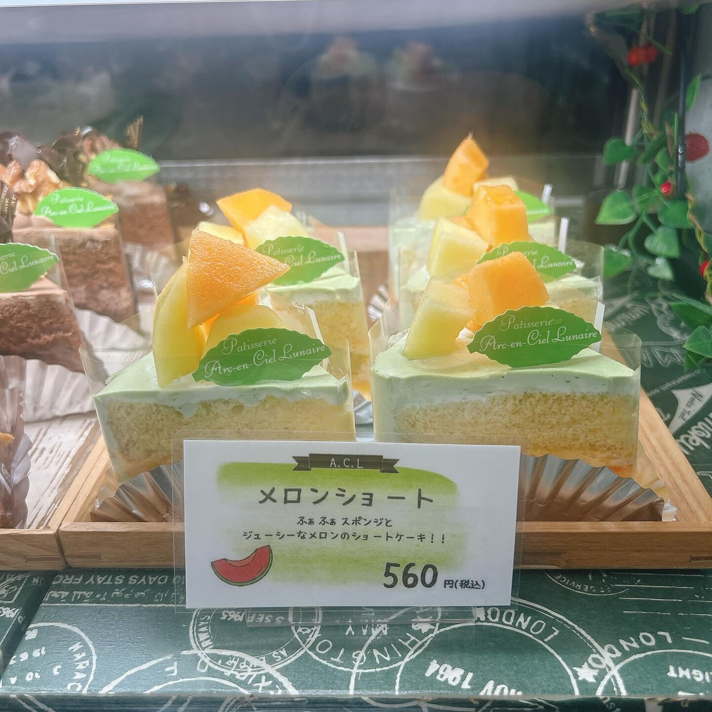 🌙今日も暑いですね🥵🌈