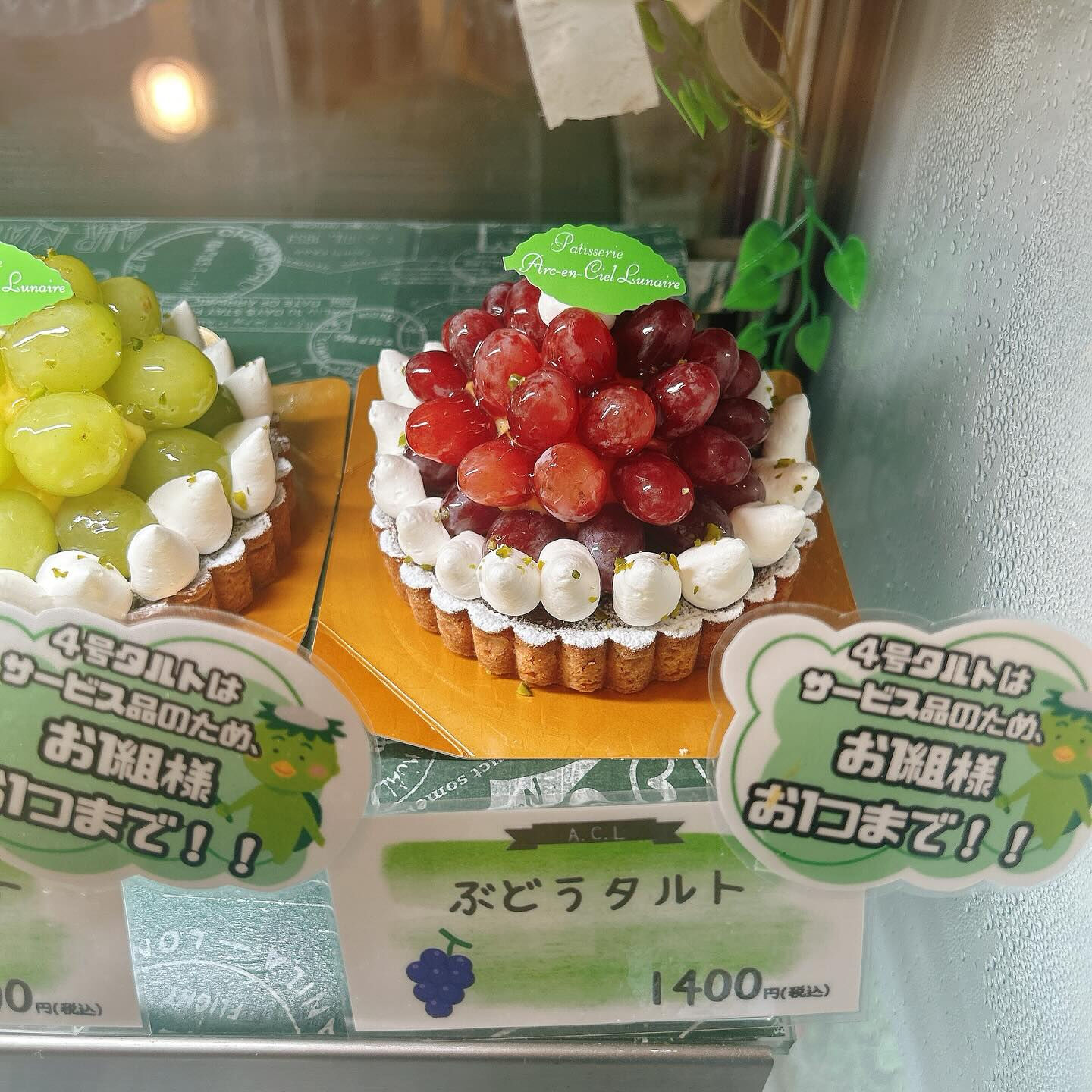 🌙本日雨と勘違いした河童くんが😅🌈