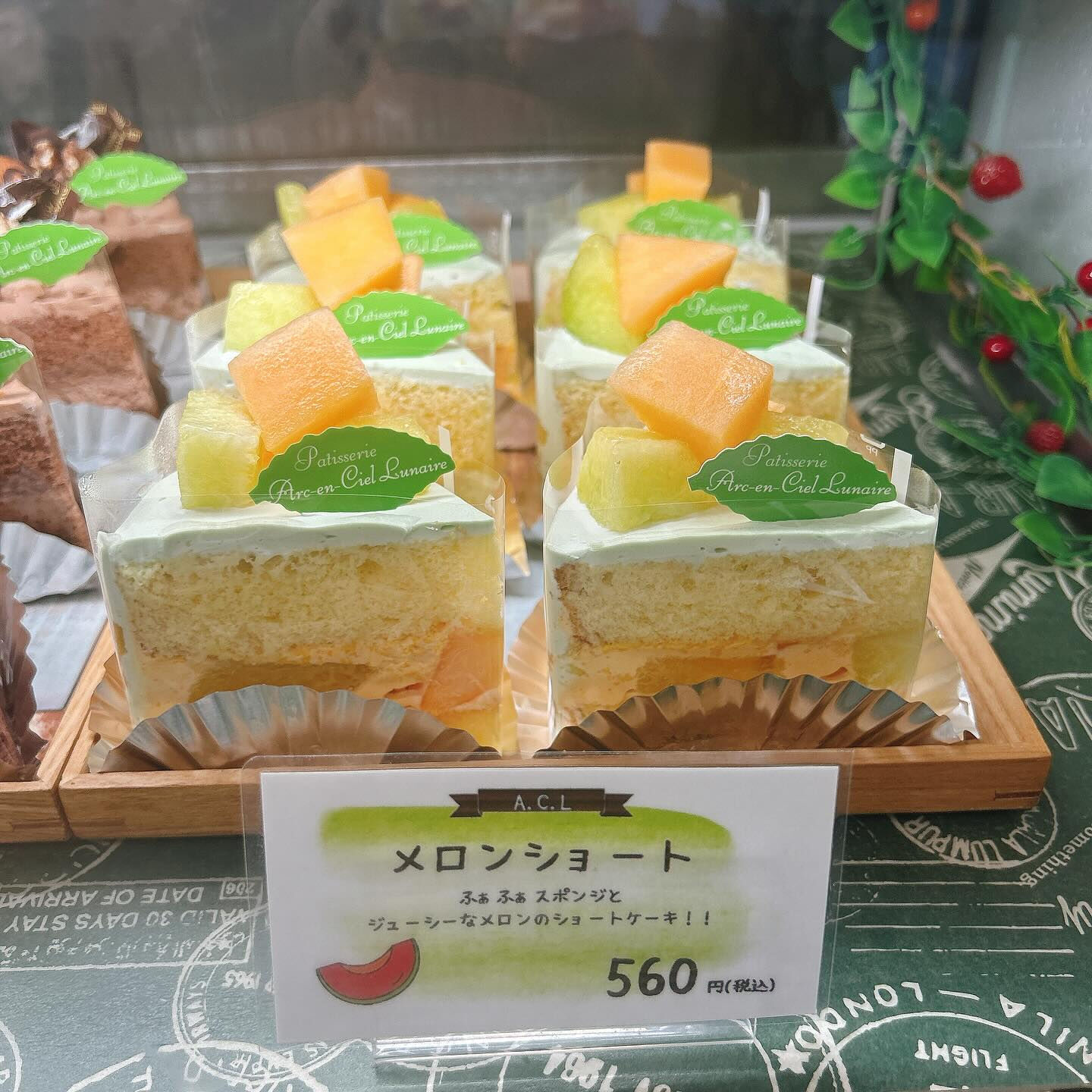 🌙本日雨と勘違いした河童くんが😅🌈