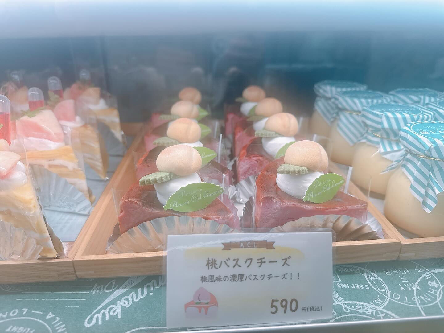 🌙桃次郎写真間に合いませんでした💦🌈