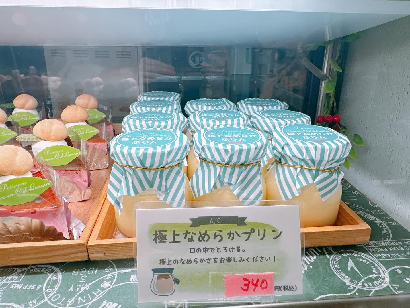 🌙桃次郎写真間に合いませんでした💦🌈