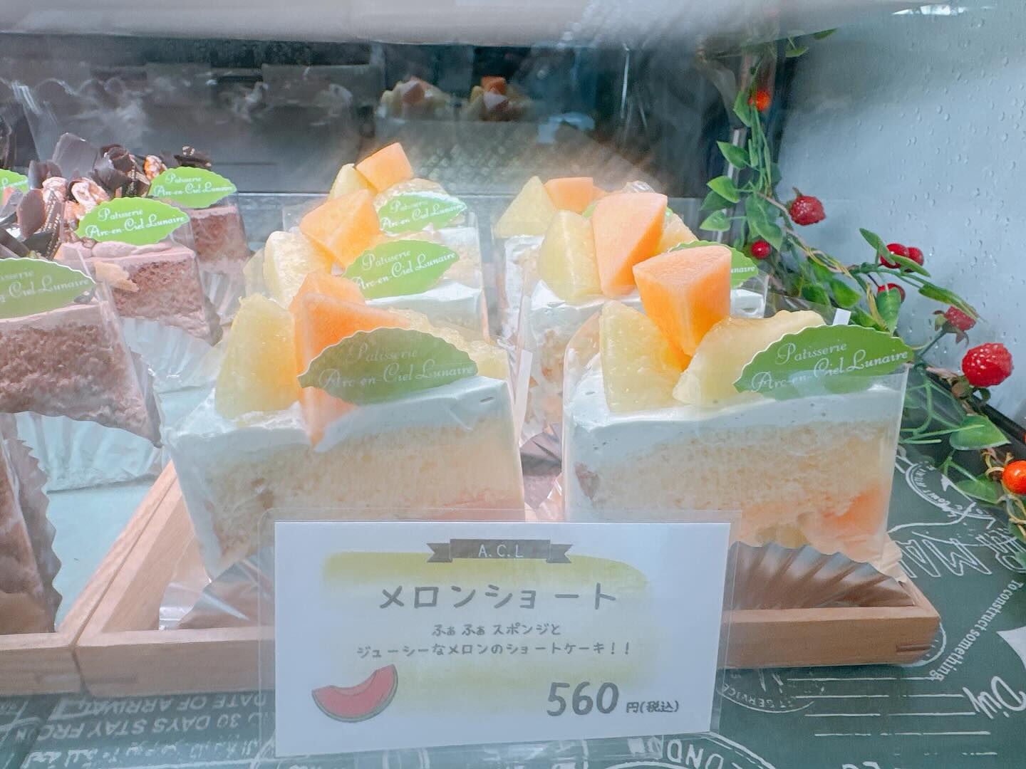 🌙桃次郎写真間に合いませんでした💦🌈
