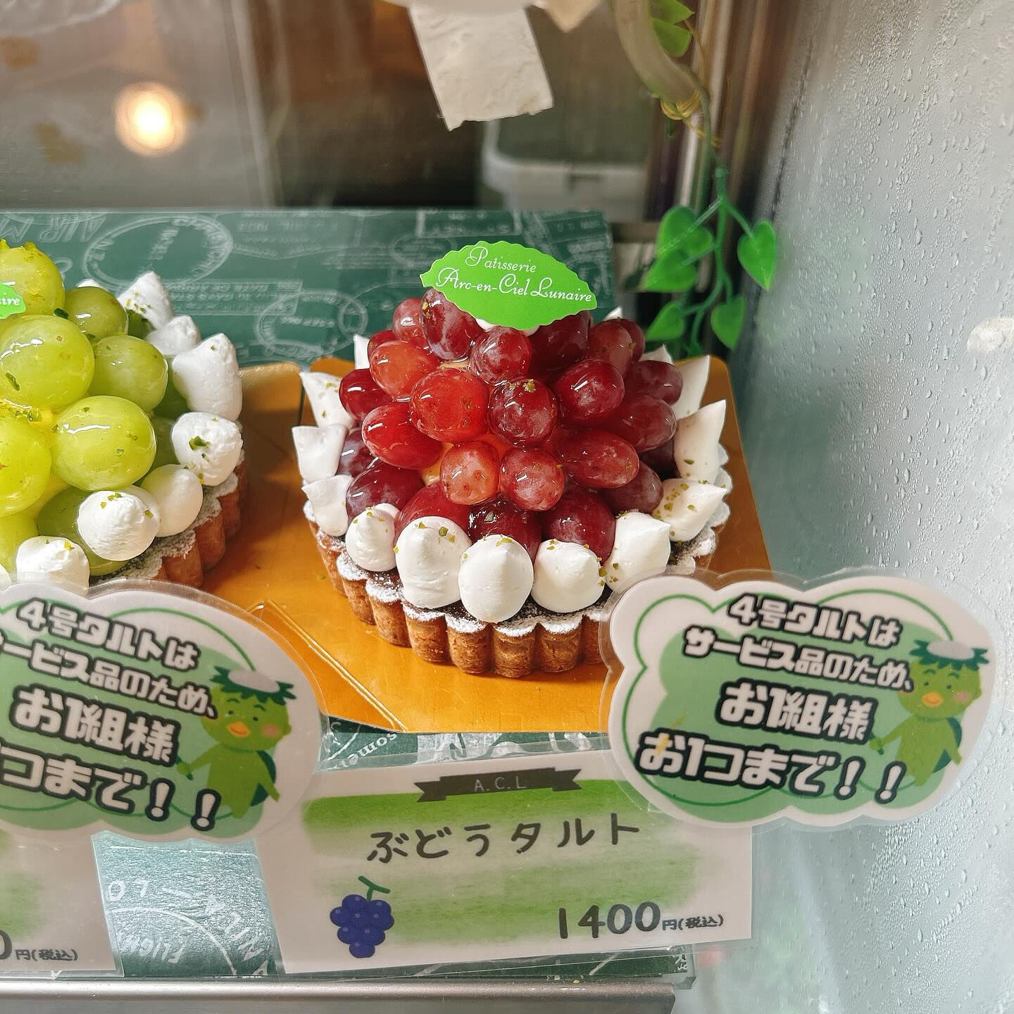 🌙本日も桃次郎出してます🌈