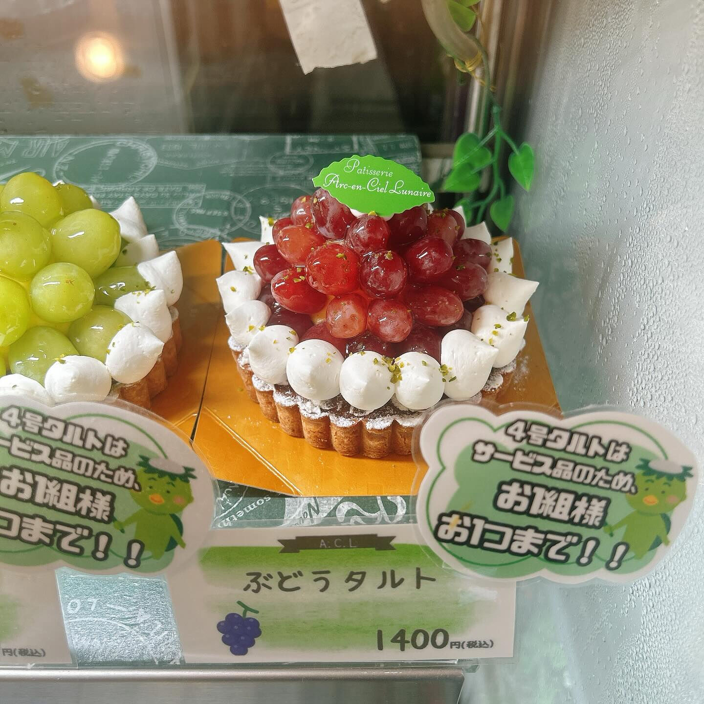 🌙本日も桃次郎出してます🌈