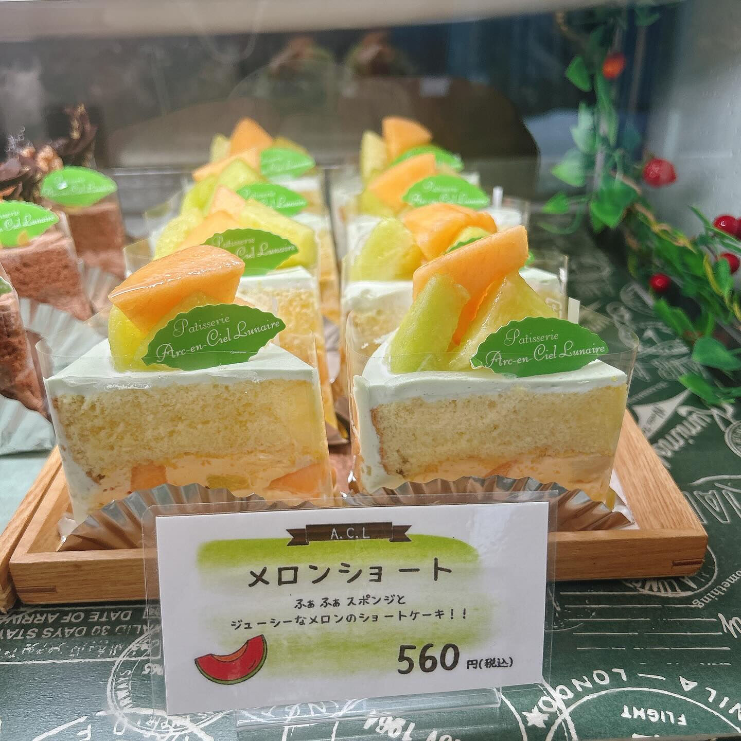 🌙本日も桃次郎出してます🌈