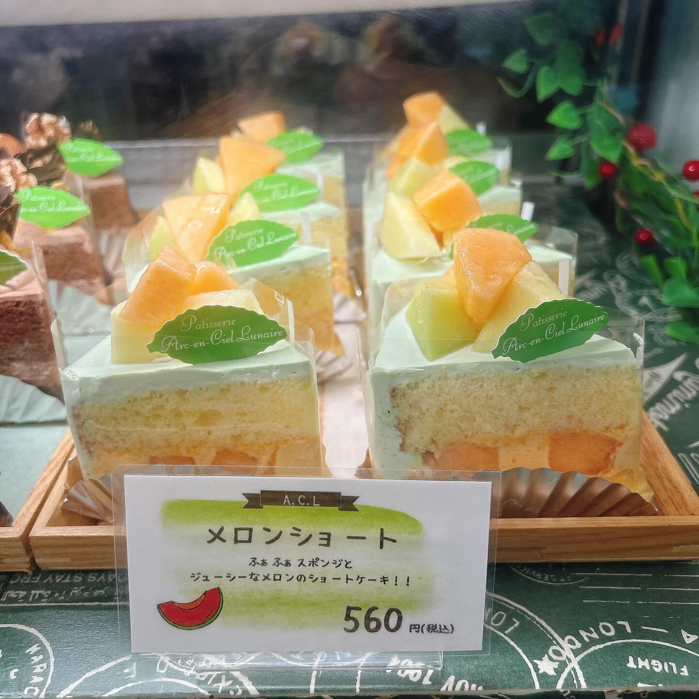 🌙メ・ローンセストン本日、明日まで！🌈