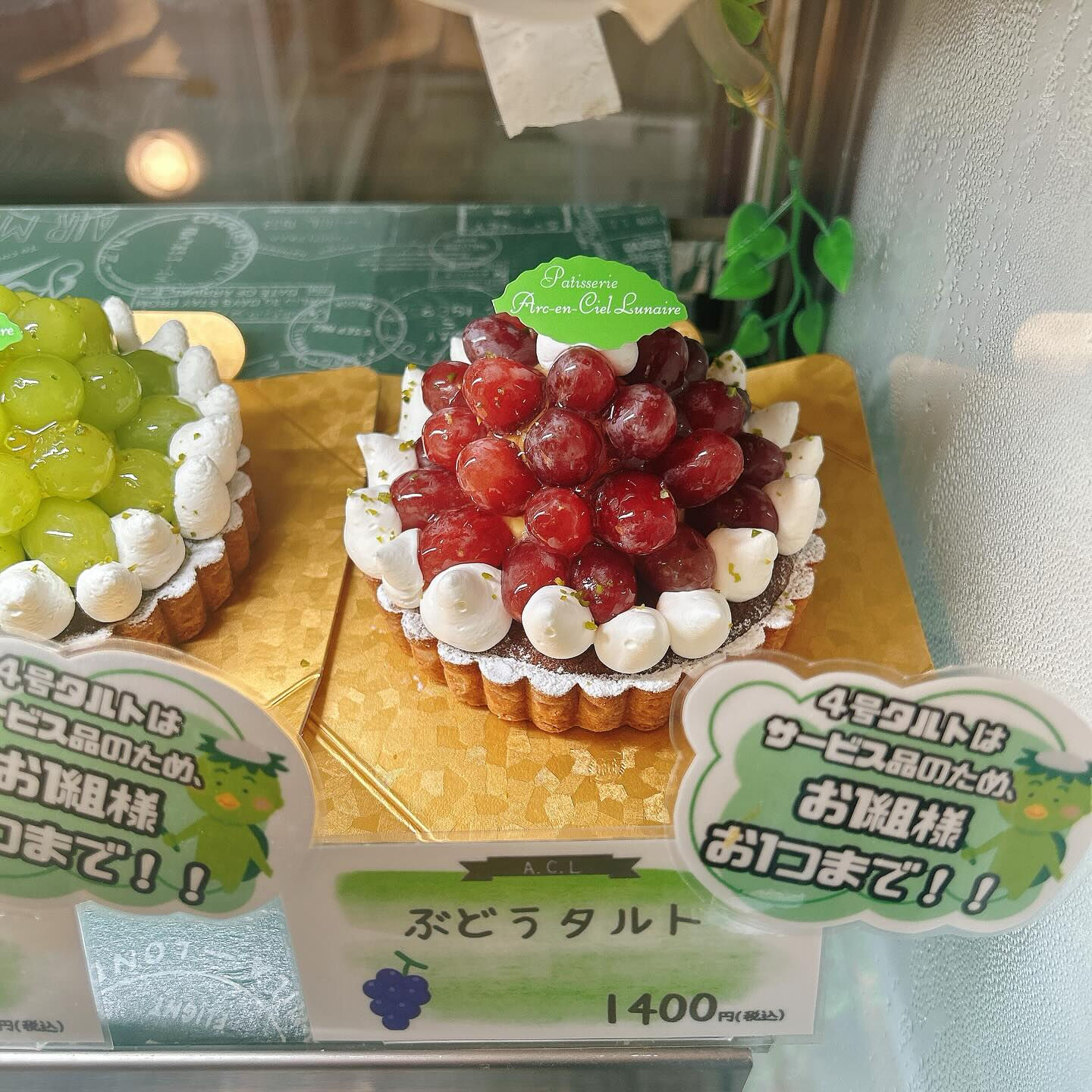 🌙本日河童くん出してます🌈
