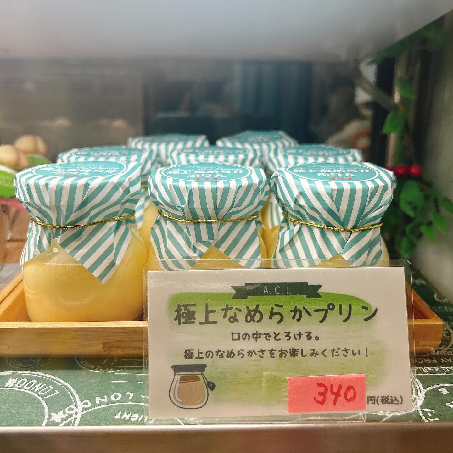 🌙本日河童くん出してます🌈