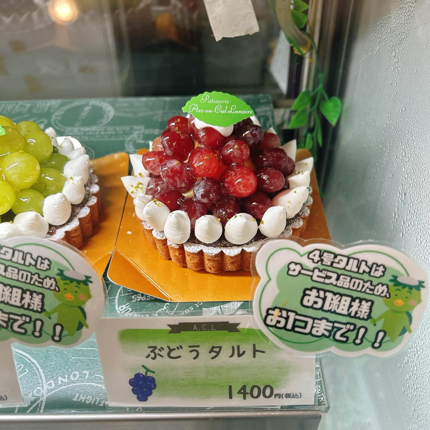 🌙本日河童くん出してます🌈