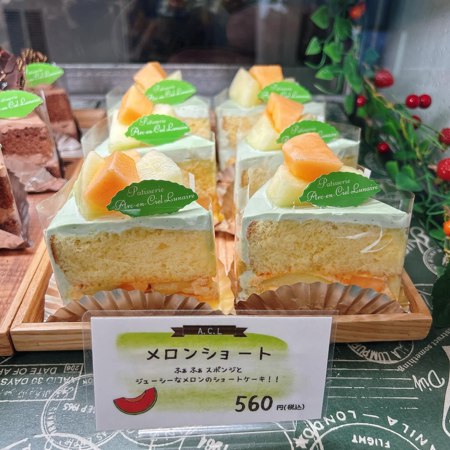 🌙本日河童くん出してます🌈
