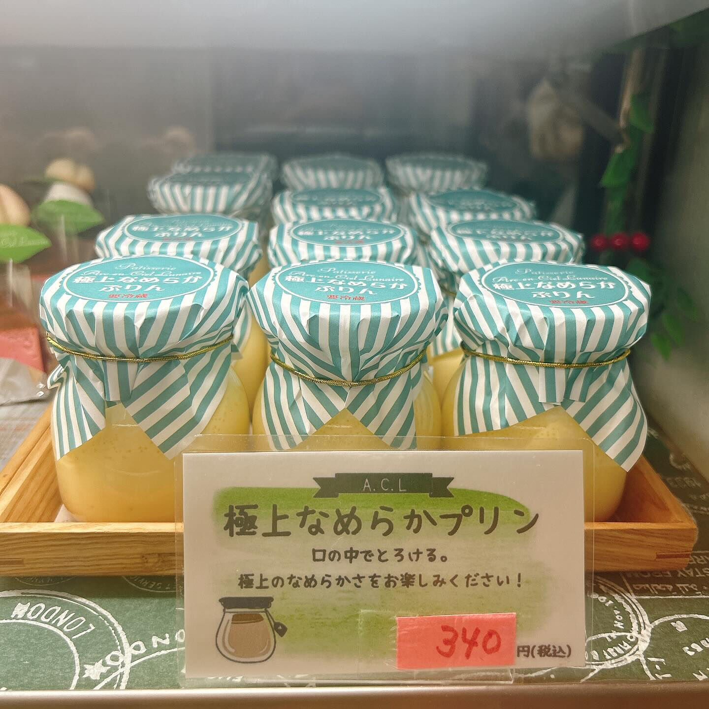 🌙本日桃次郎お休みします🙇‍♂️🌈