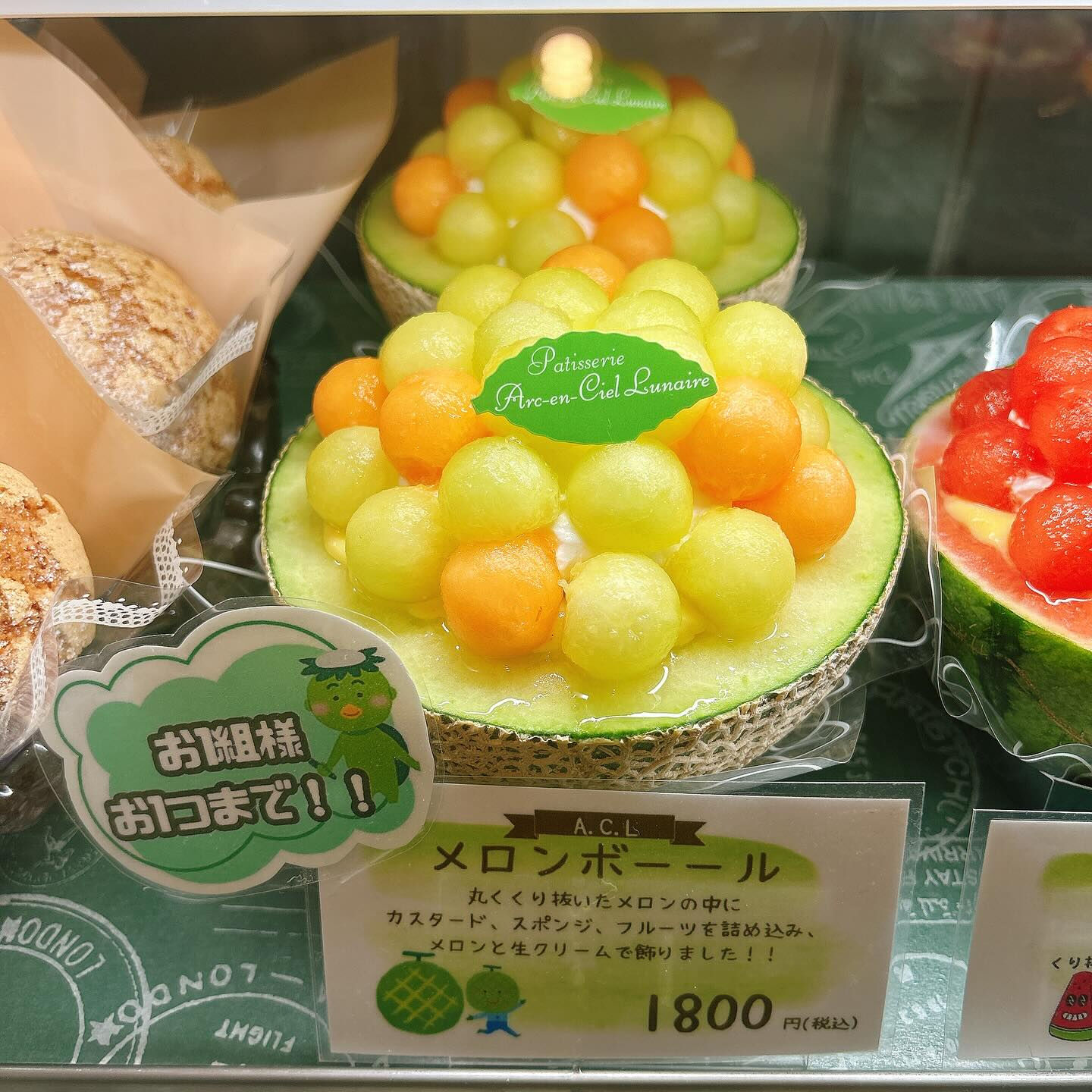 🌙本日も桃次郎お休みします🙇‍♂️🌈