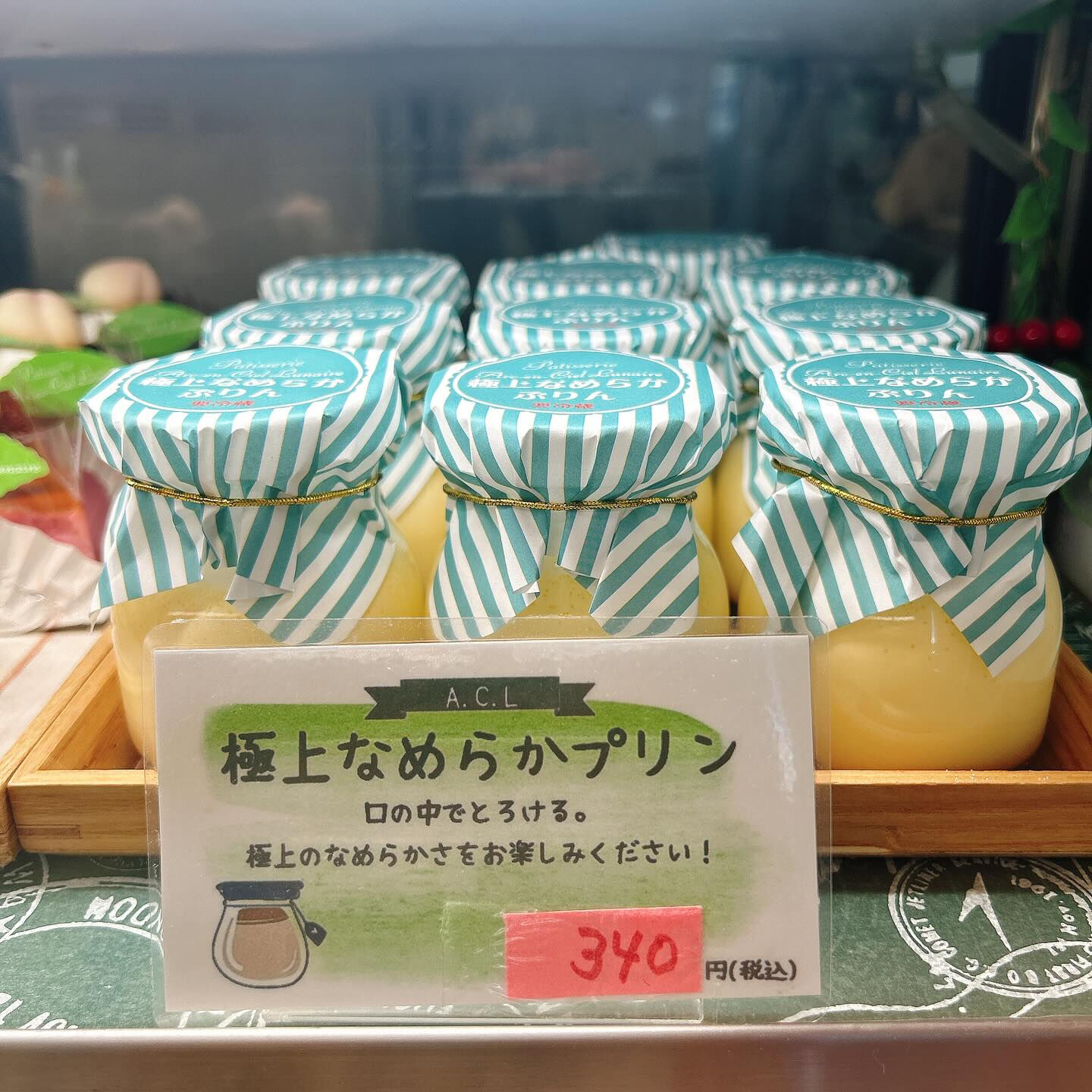 🌙本日も桃次郎お休みします🙇‍♂️🌈